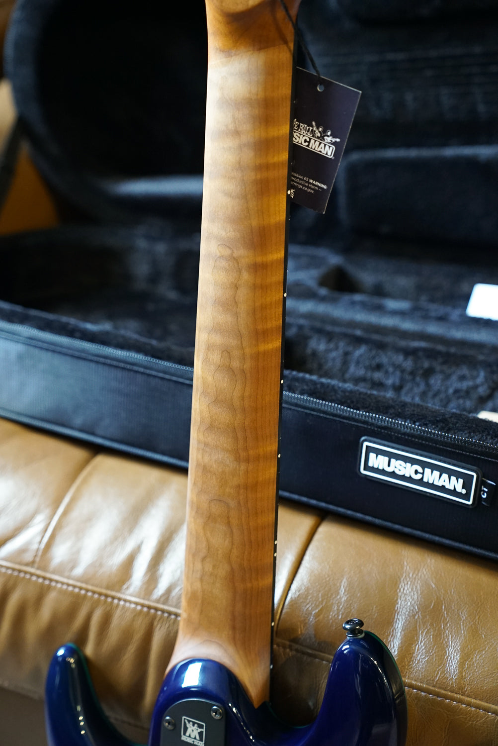 Music Man Jason Richardson Cutlass HT 8 String - Water Temple