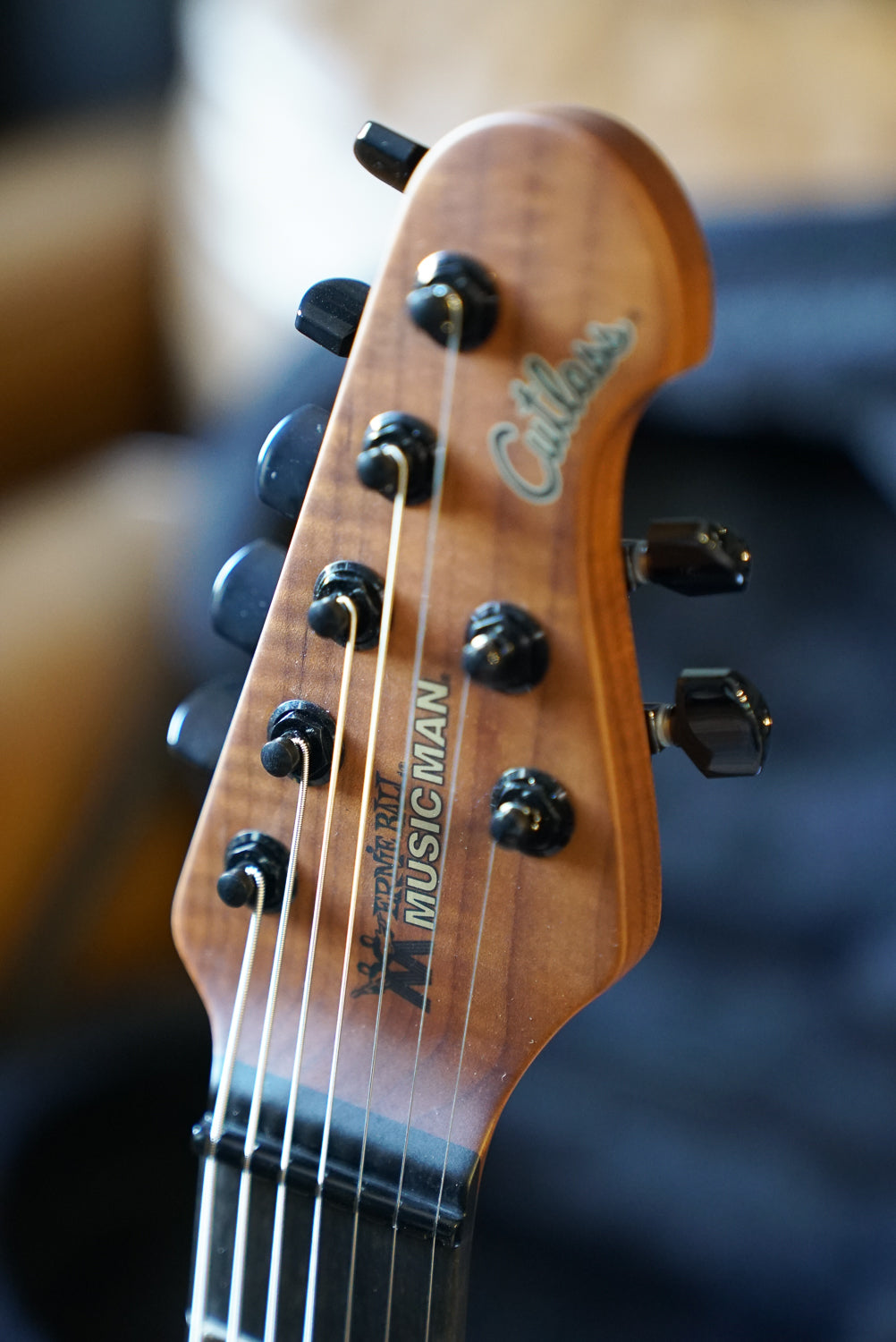 Music Man Jason Richardson Cutlass HT 7 String - Water Temple