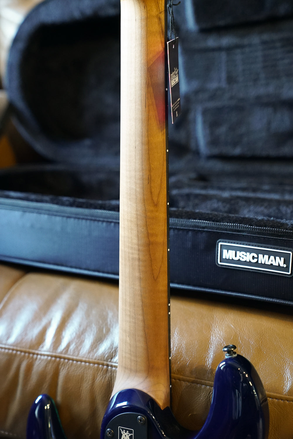 Music Man Jason Richardson Cutlass HT 7 String - Water Temple