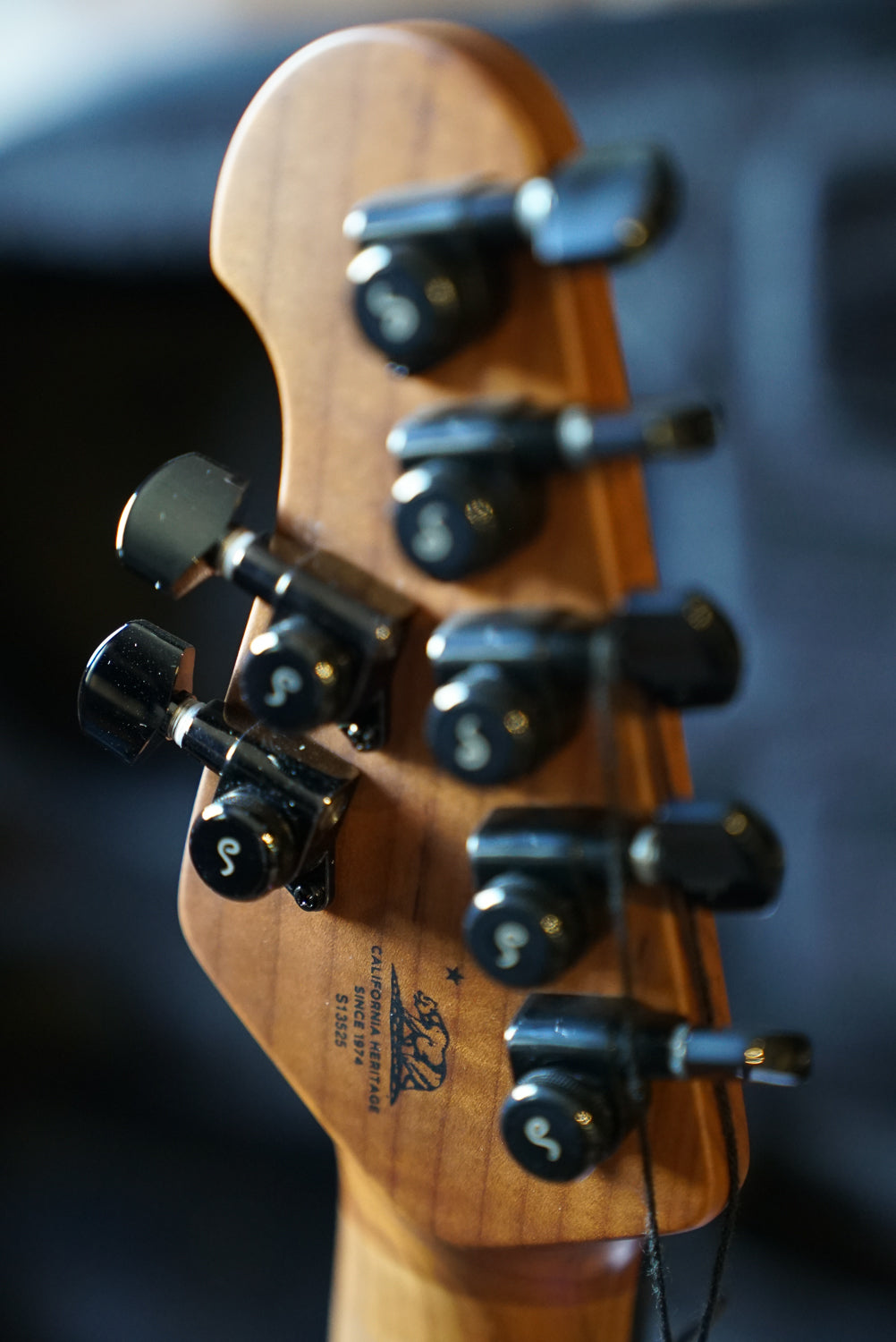 Music Man Jason Richardson Cutlass HT 7 String - Water Temple