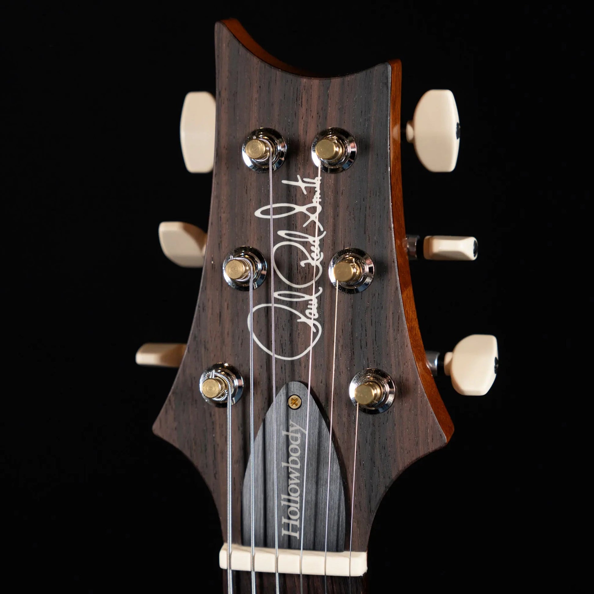 PRS Hollowbody II Piezo 10-Top Electric Guitar - Aurora Borealis