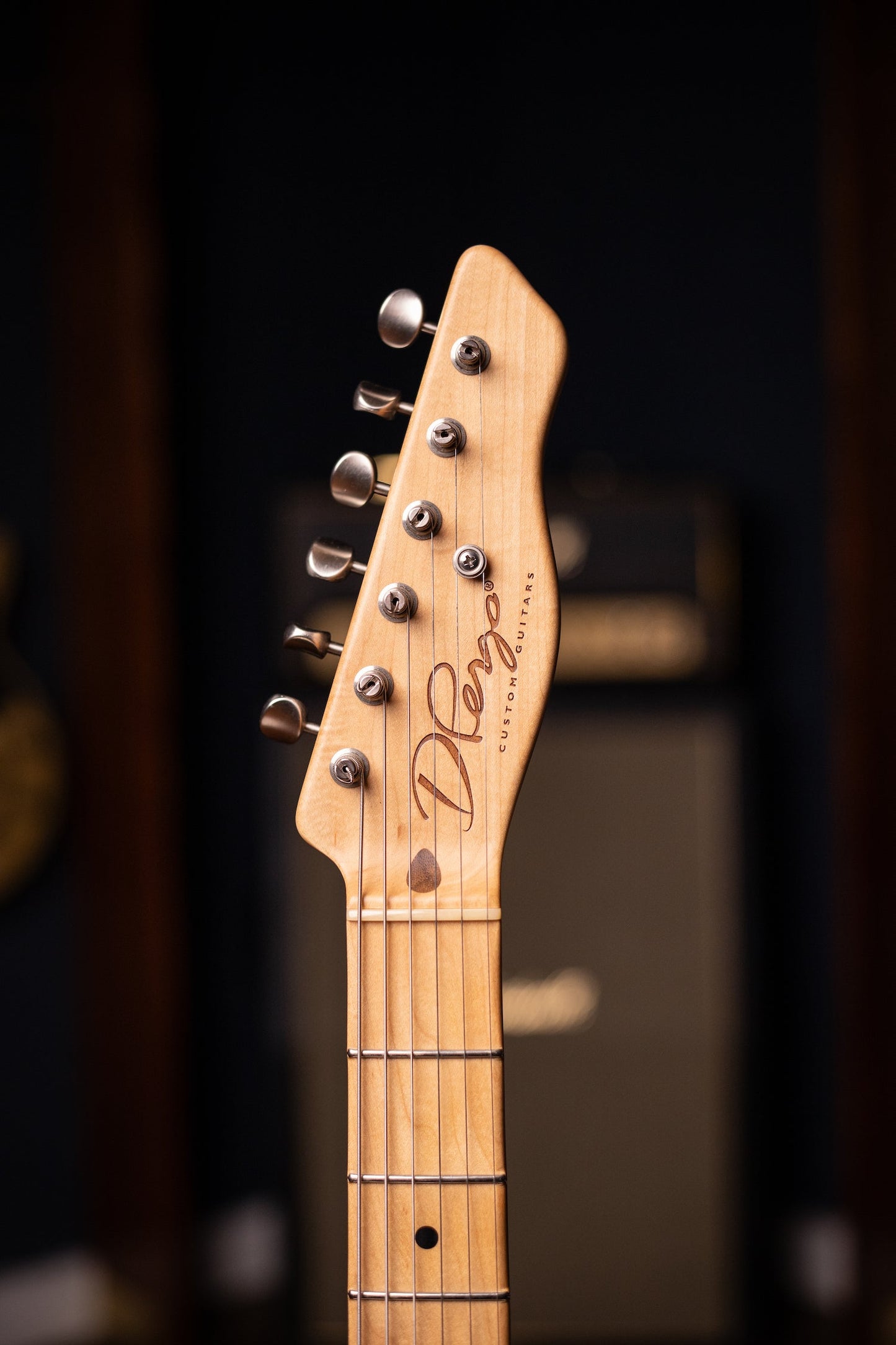 2010 D'Pergo Semi Hollow Electric Guitar - Aged Bakersfield