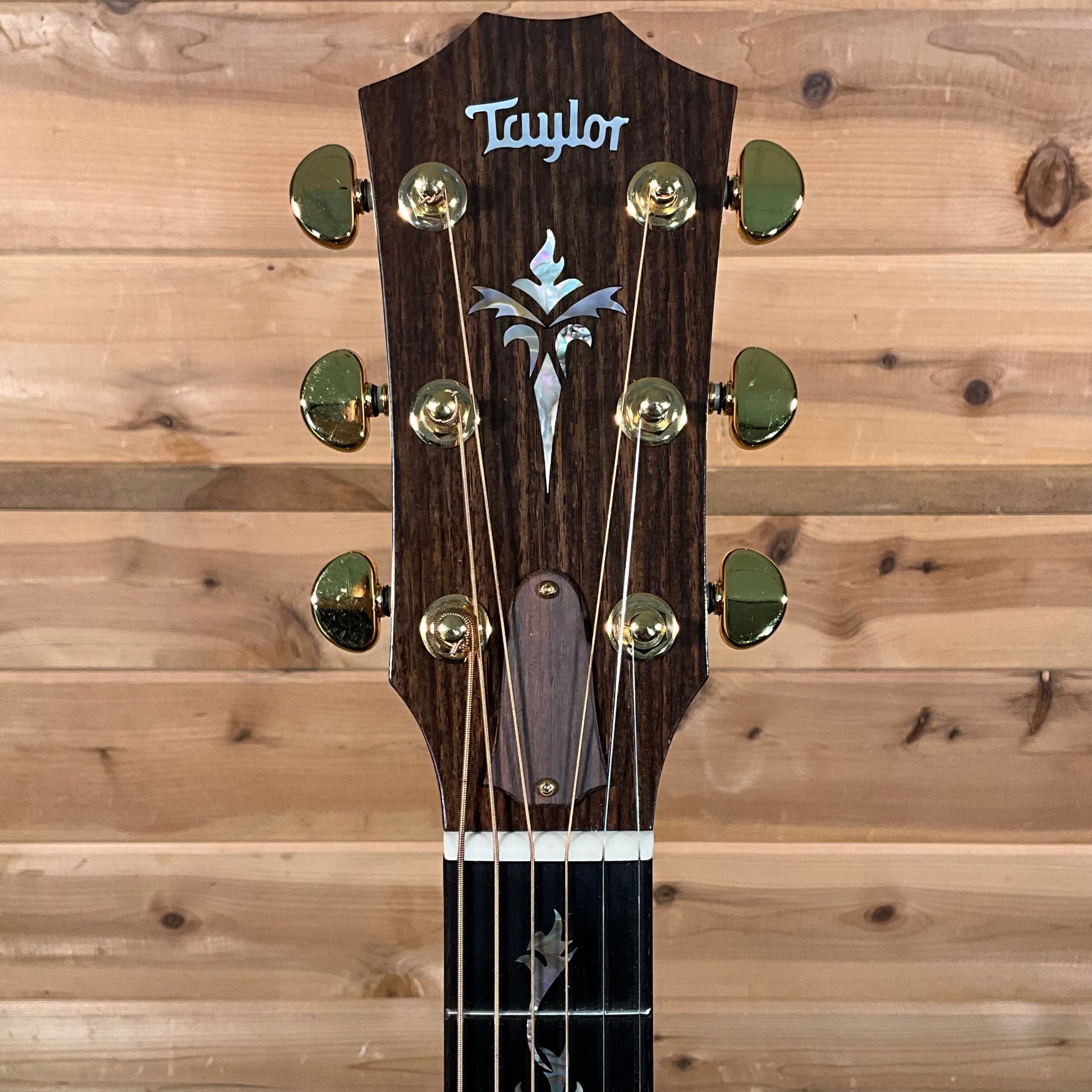 Taylor 1995 GA-BE #4 of 50 Acoustic Guitar USED - Natural