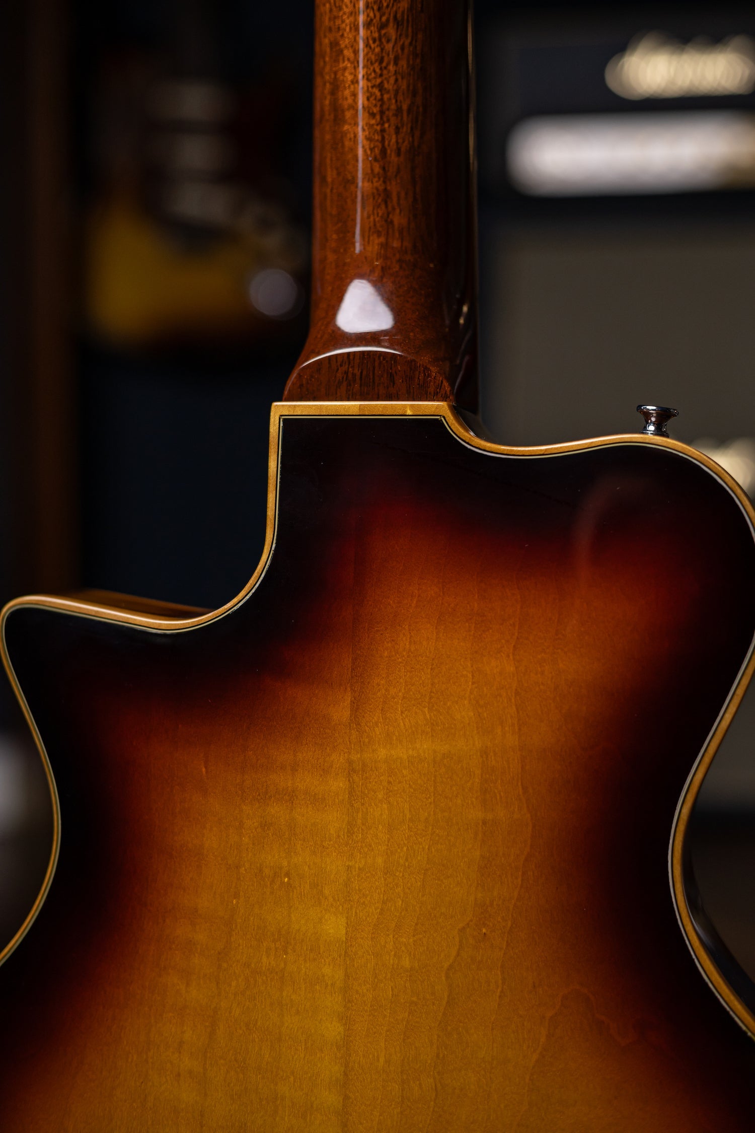 Pre-Order | Carneglia Master Series Sonora Custom Semi-Hollow Electric Guitar - Sunburst