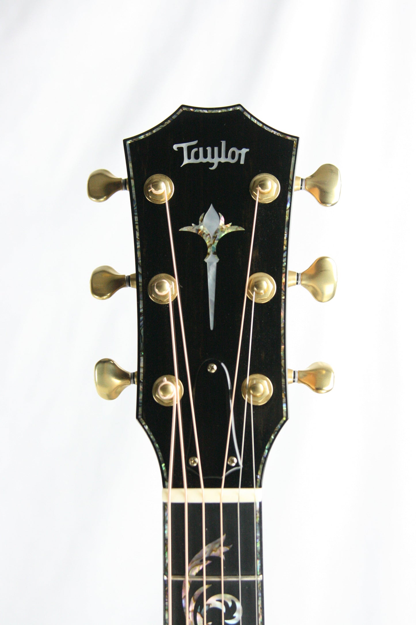 2013 Taylor PS 16CE Grand Symphony Presentation Series COCOBOLO & SITKA! Acoustic Guitar 916 914 PS