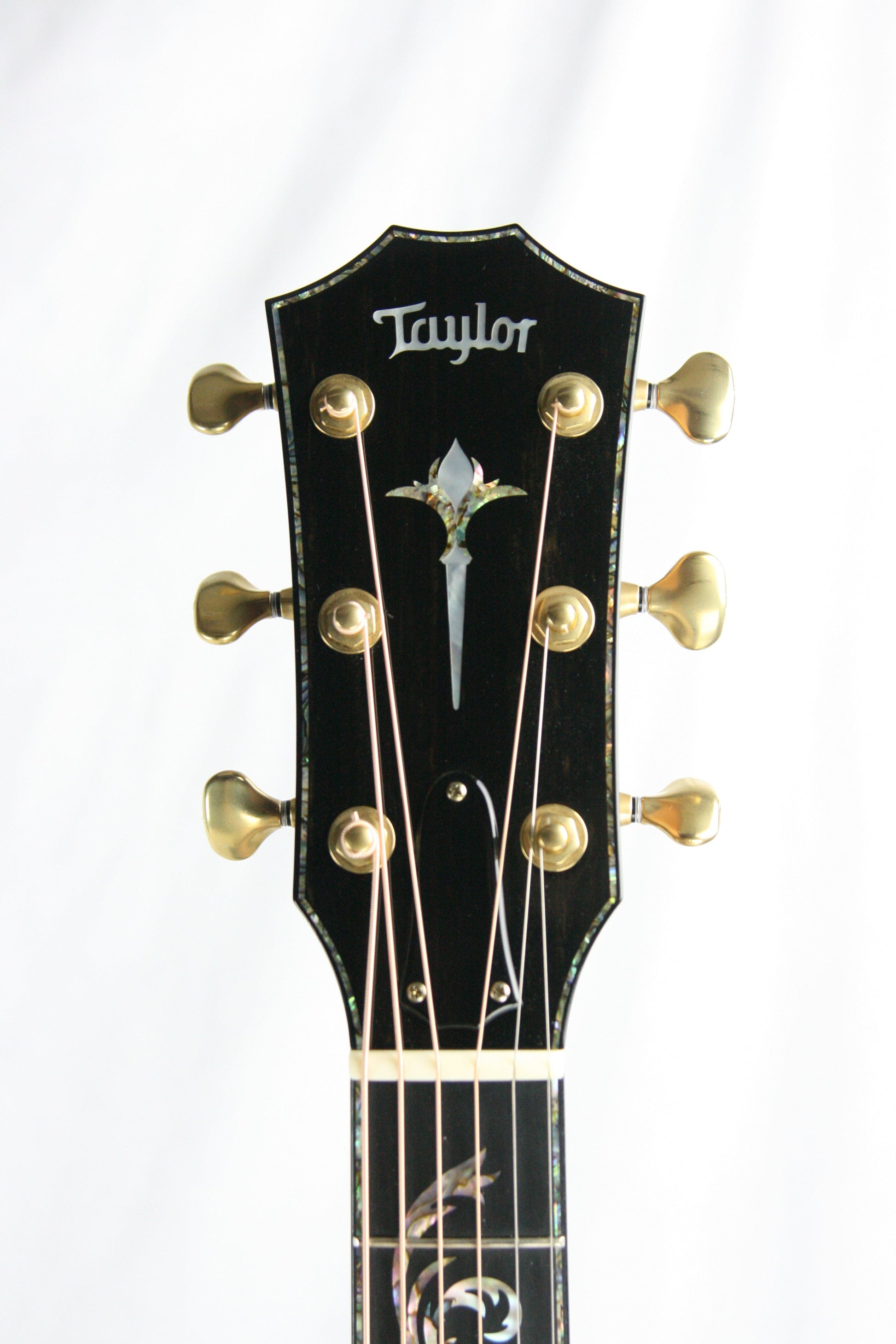 2013 Taylor PS 16CE Grand Symphony Presentation Series COCOBOLO & SITKA! Acoustic Guitar 916 914 PS