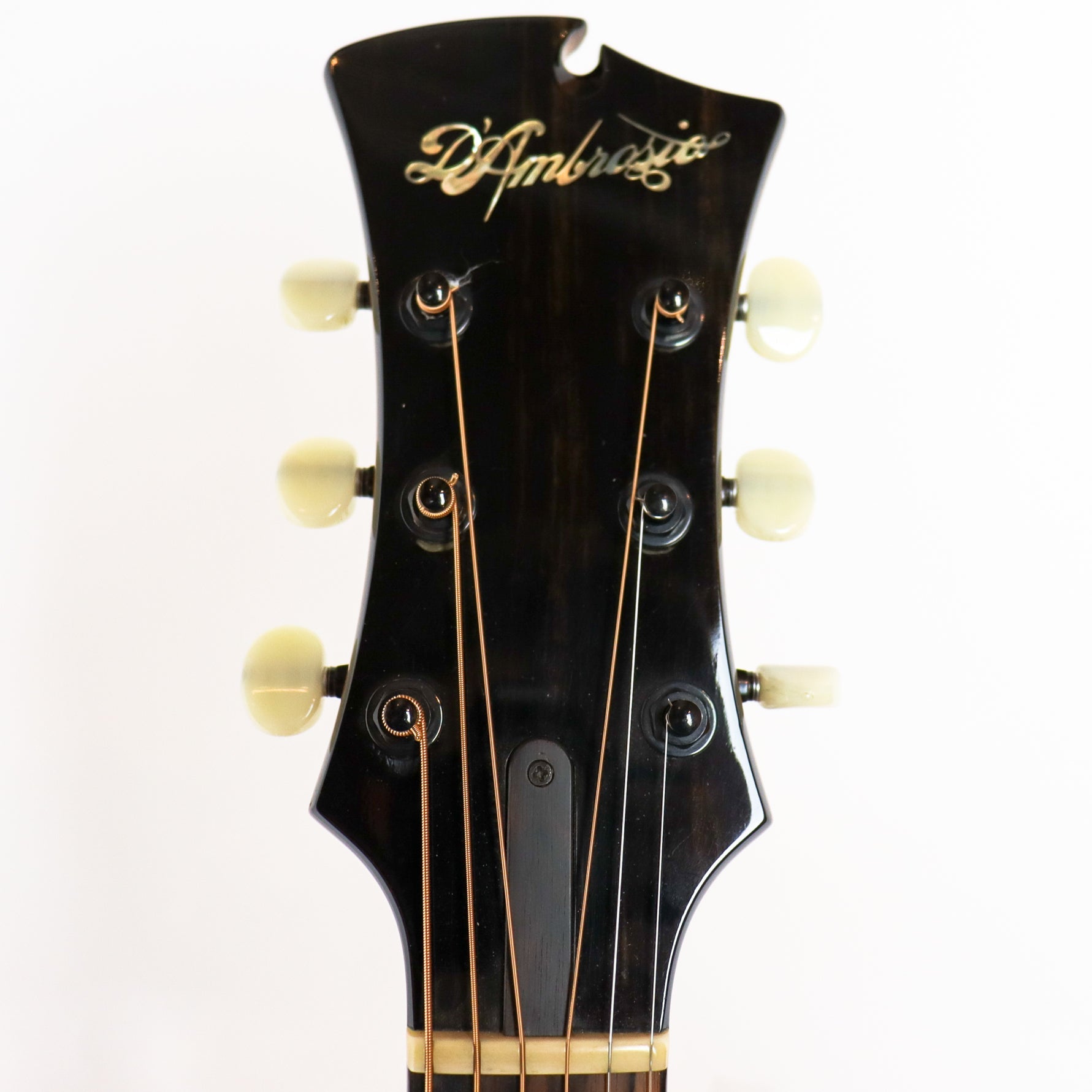 D'Ambrosio 2008 Custom Oval Hole Archtop