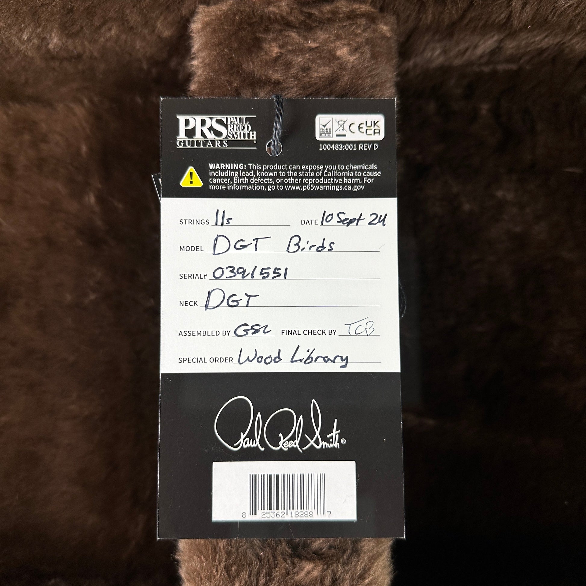 PRS TSG Exclusive Wood Library Artist DGT Frostbite Brazilian Rosewood w/case 0391551
