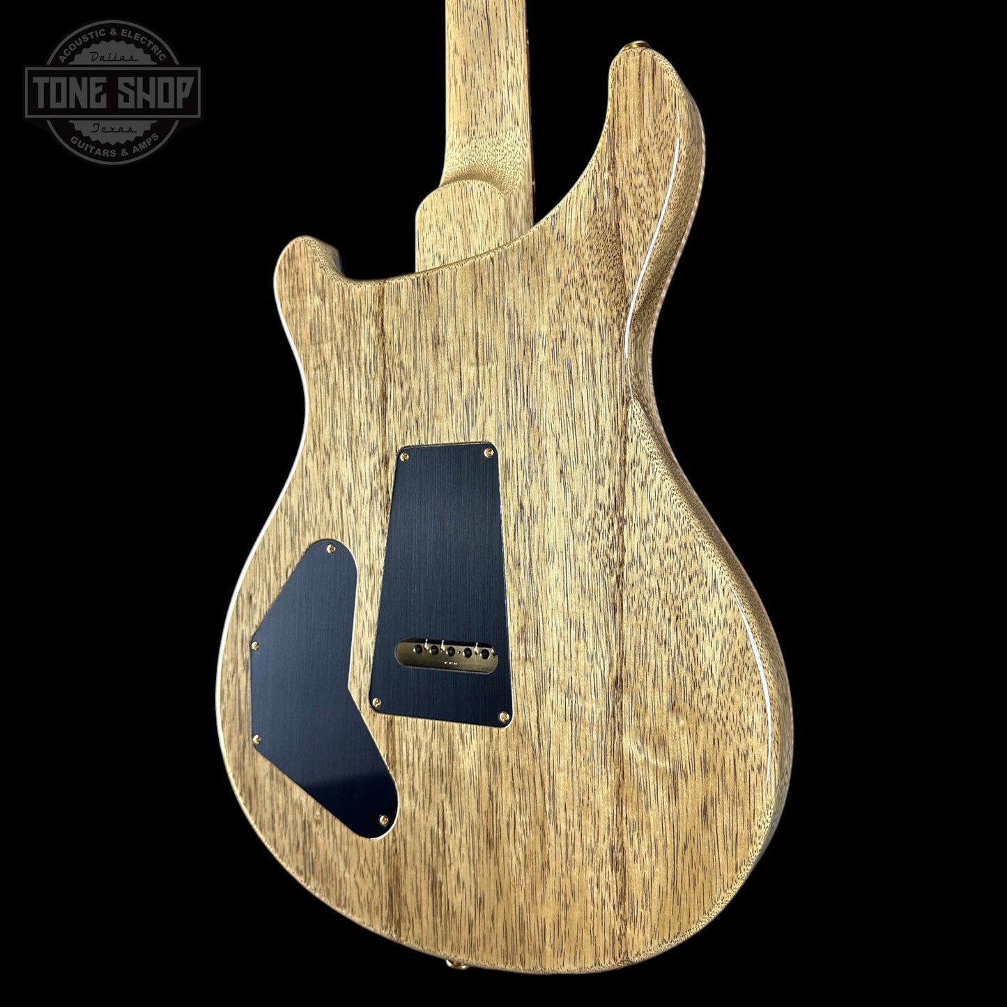 PRS Wood Library DGT 10 Top Faded Whale Blue Korina / Brazilian RW w/case 0424752