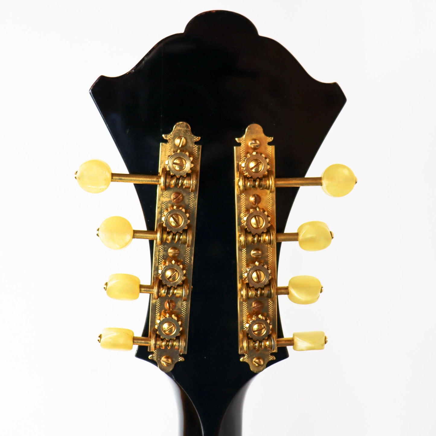 Monteleone 1979 Grand Artist Mandola #40