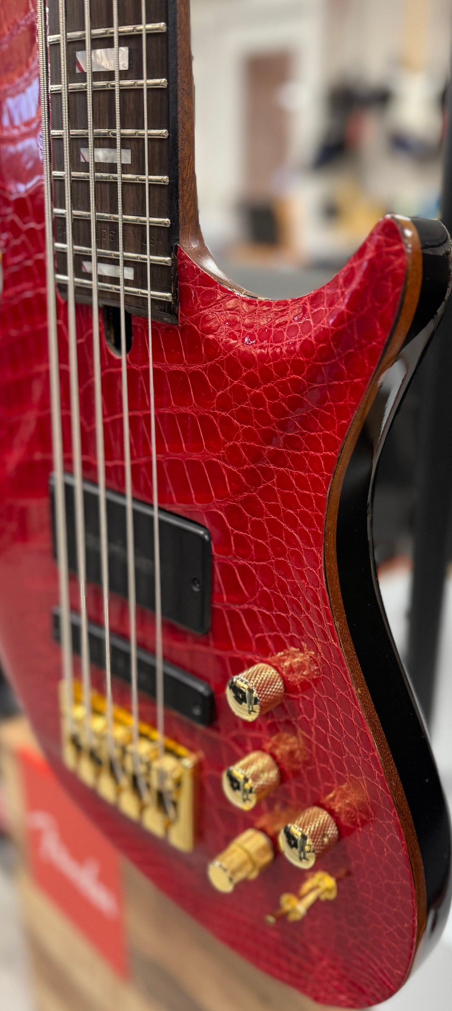 Used Warrior Kings Closet Isabella 5-String Bass Red Alligator Top w/Bag TSS6755