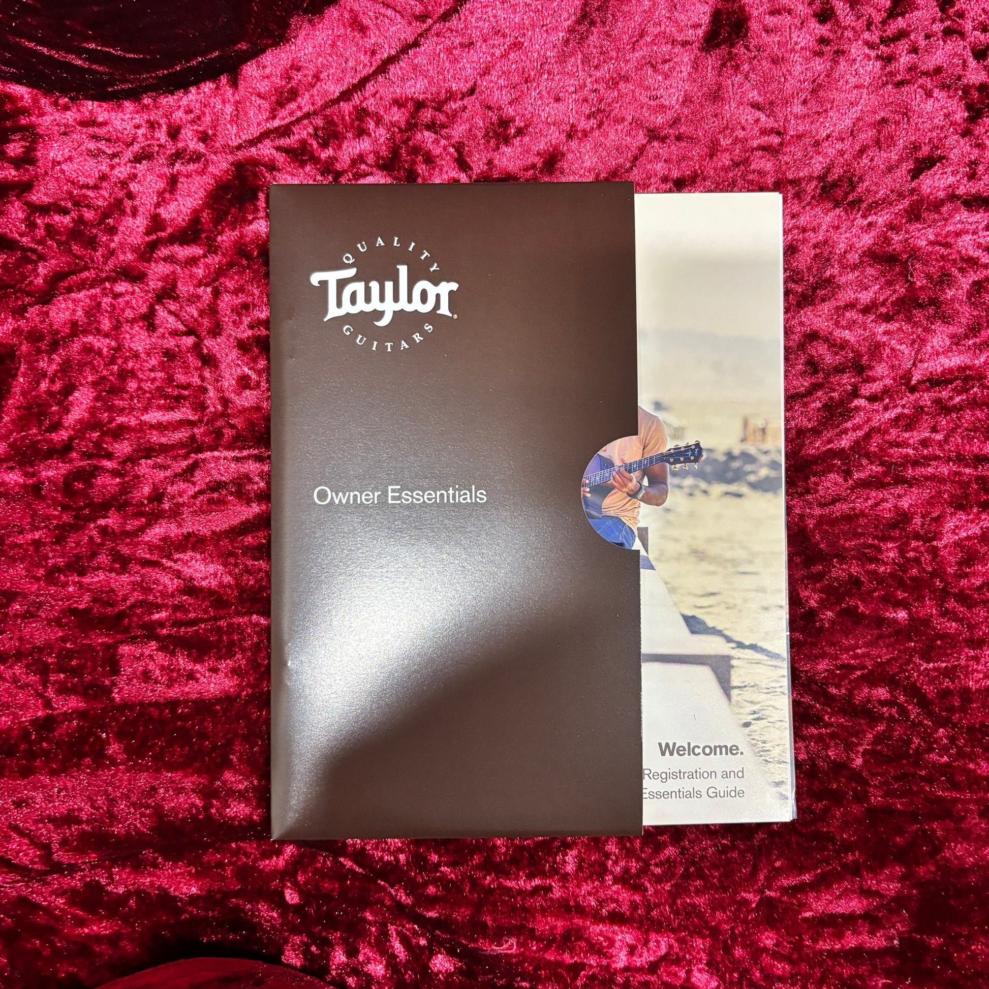 Taylor 814ce Next Generation - Natural