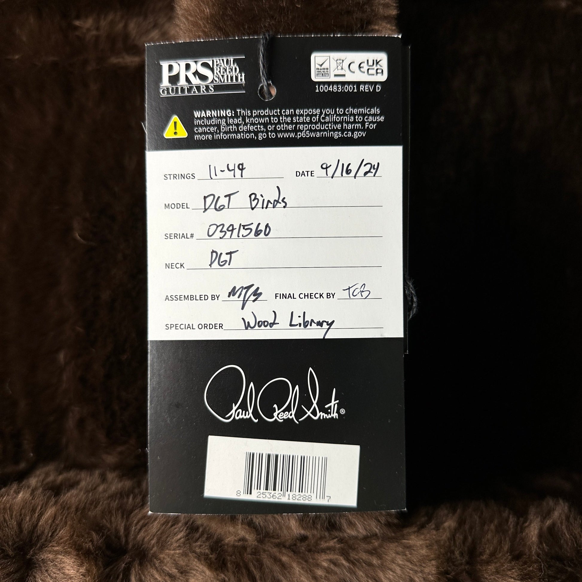 PRS TSG Exclusive Wood Library Artist DGT Frostbite Brazilian Rosewood w/case 0391560