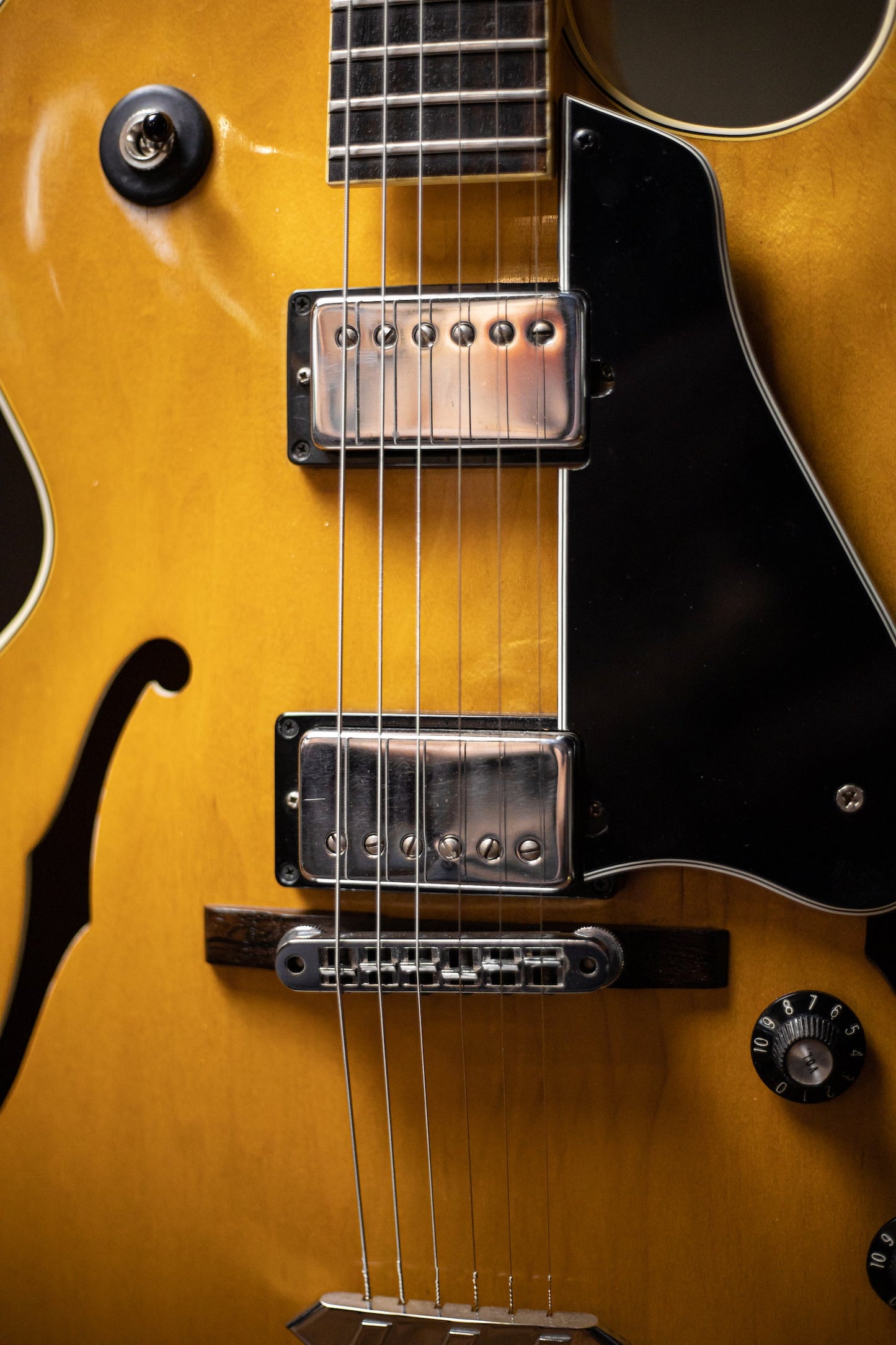 1975 Gibson ES-175 Electric Guitar - Natural