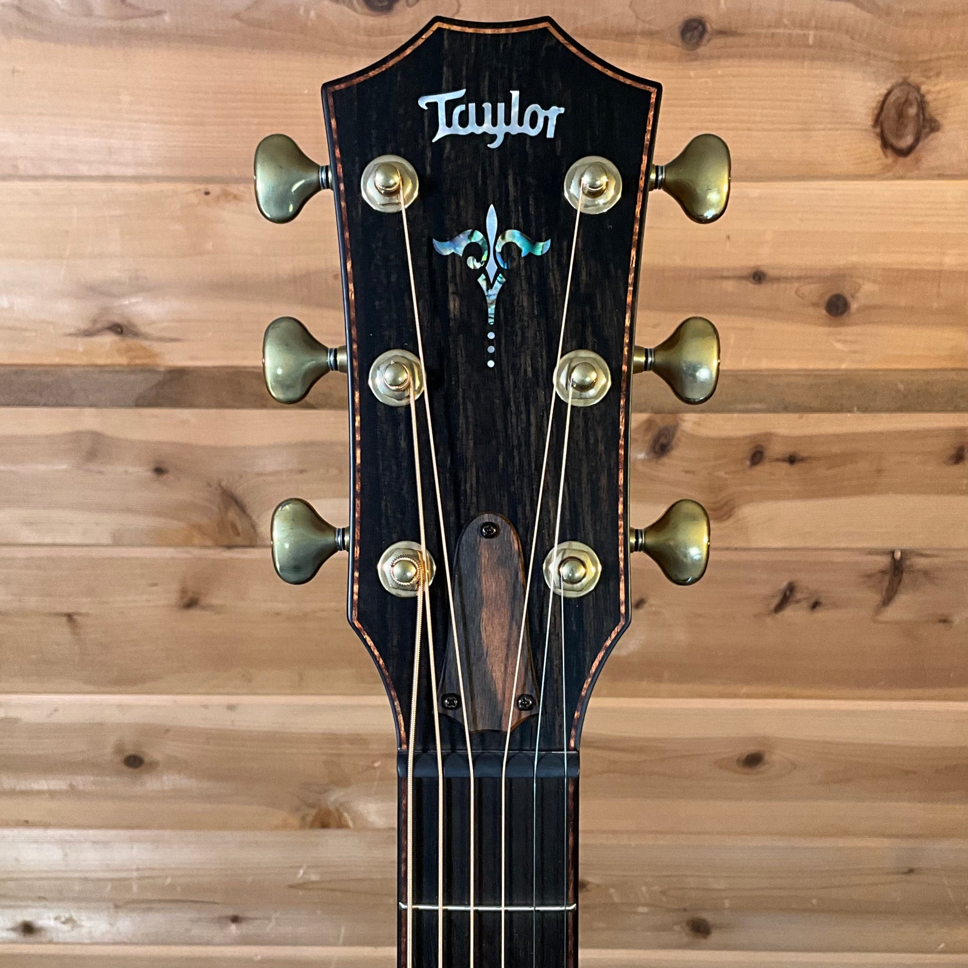 Taylor Builders Edition 914ce Acoustic Guitar - Natural