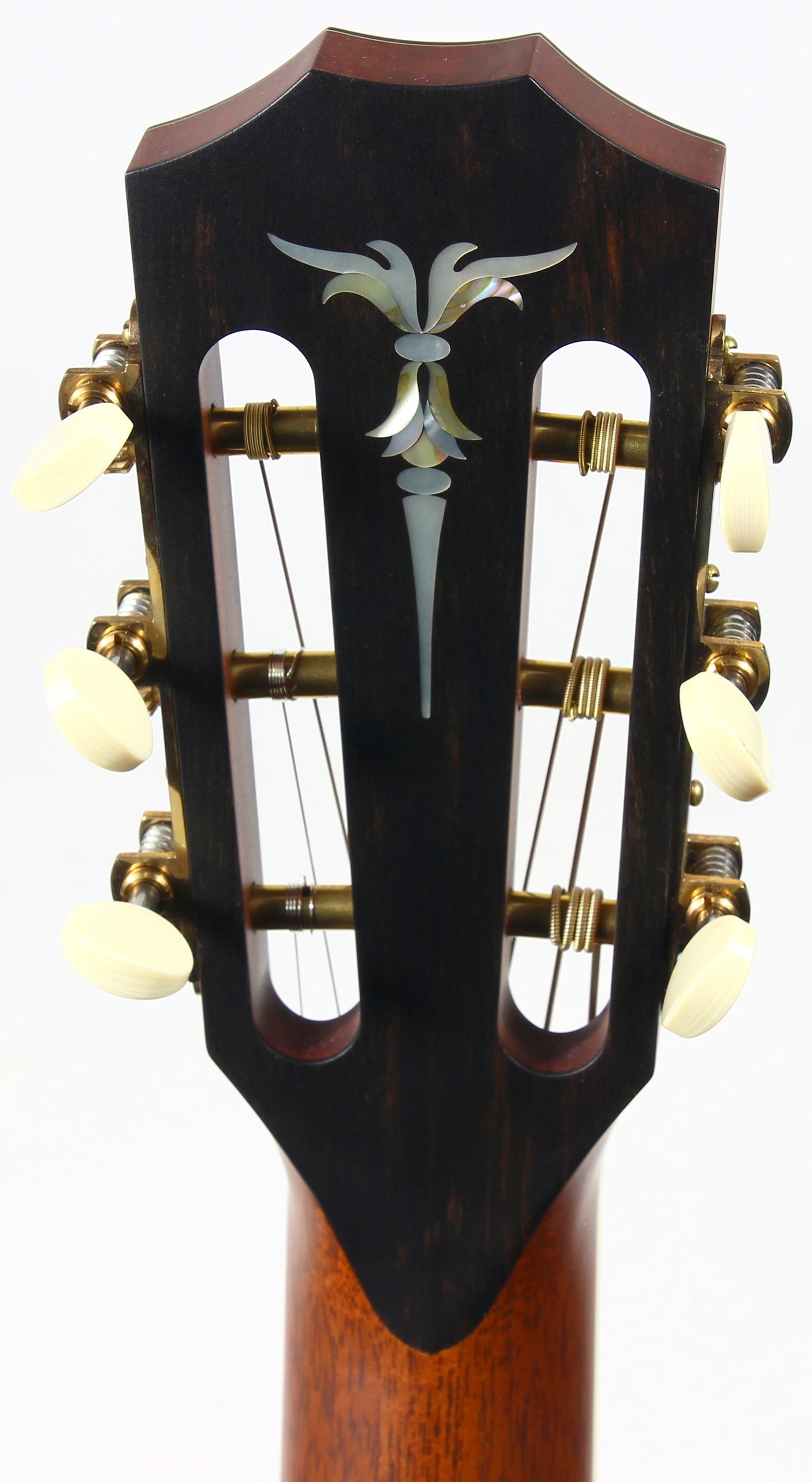 UNPLAYED! 2004 Taylor BRAZILIAN ROSEWOOD XXX-BE 30th Anniversary Acoustic Guitar - Grand Concert, Slotted Headstock