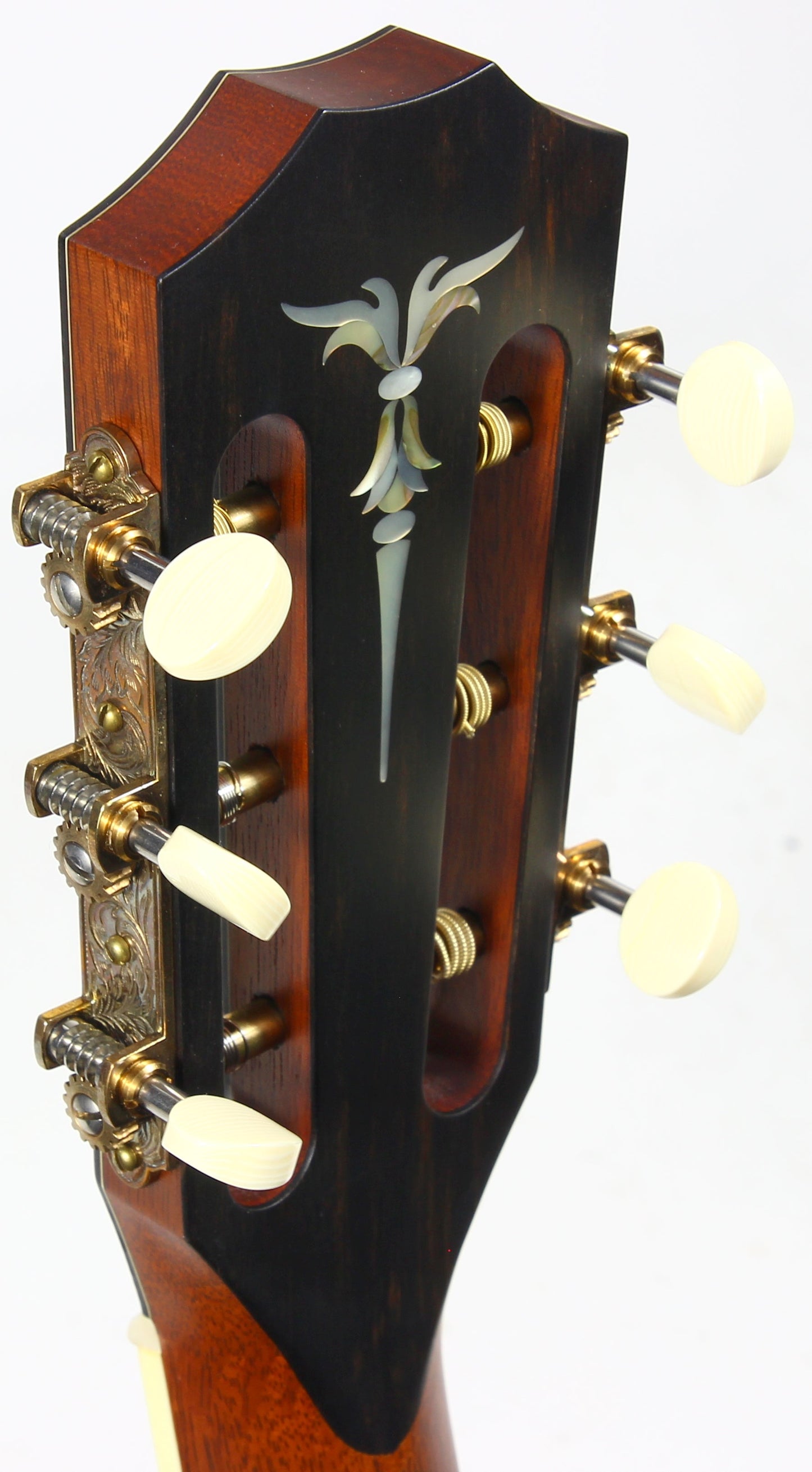 UNPLAYED! 2004 Taylor BRAZILIAN ROSEWOOD XXX-BE 30th Anniversary Acoustic Guitar - Grand Concert, Slotted Headstock