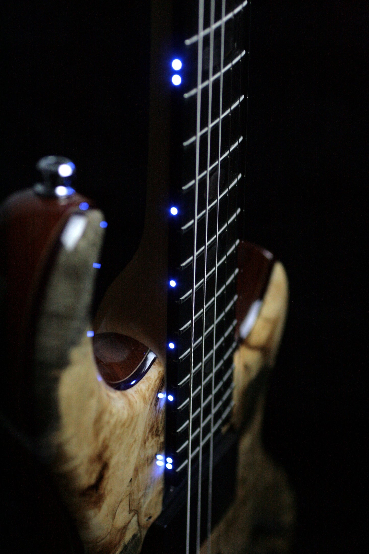 MINT 2011 Alembic Darling Buckeye Burl Top w/ Blue LED's Paperwork, Original Case!