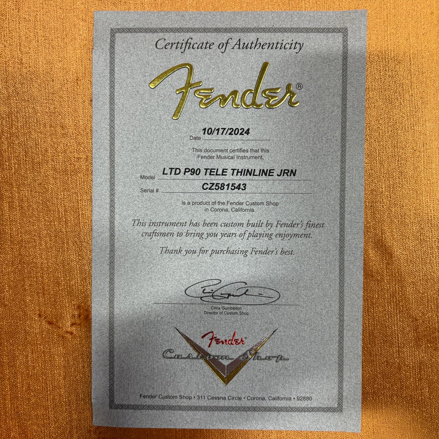 Fender Custom Shop Limited P-90 Thinline Telecaster Relic - Aged Gold Sparkle