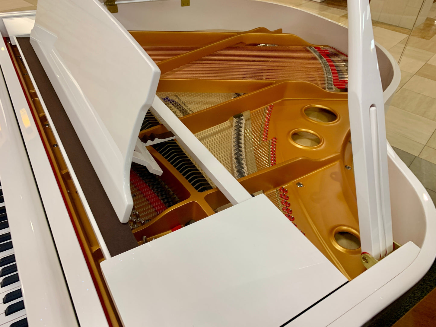 Hallet Davis HS 148 Contemporary Grand 4'10"