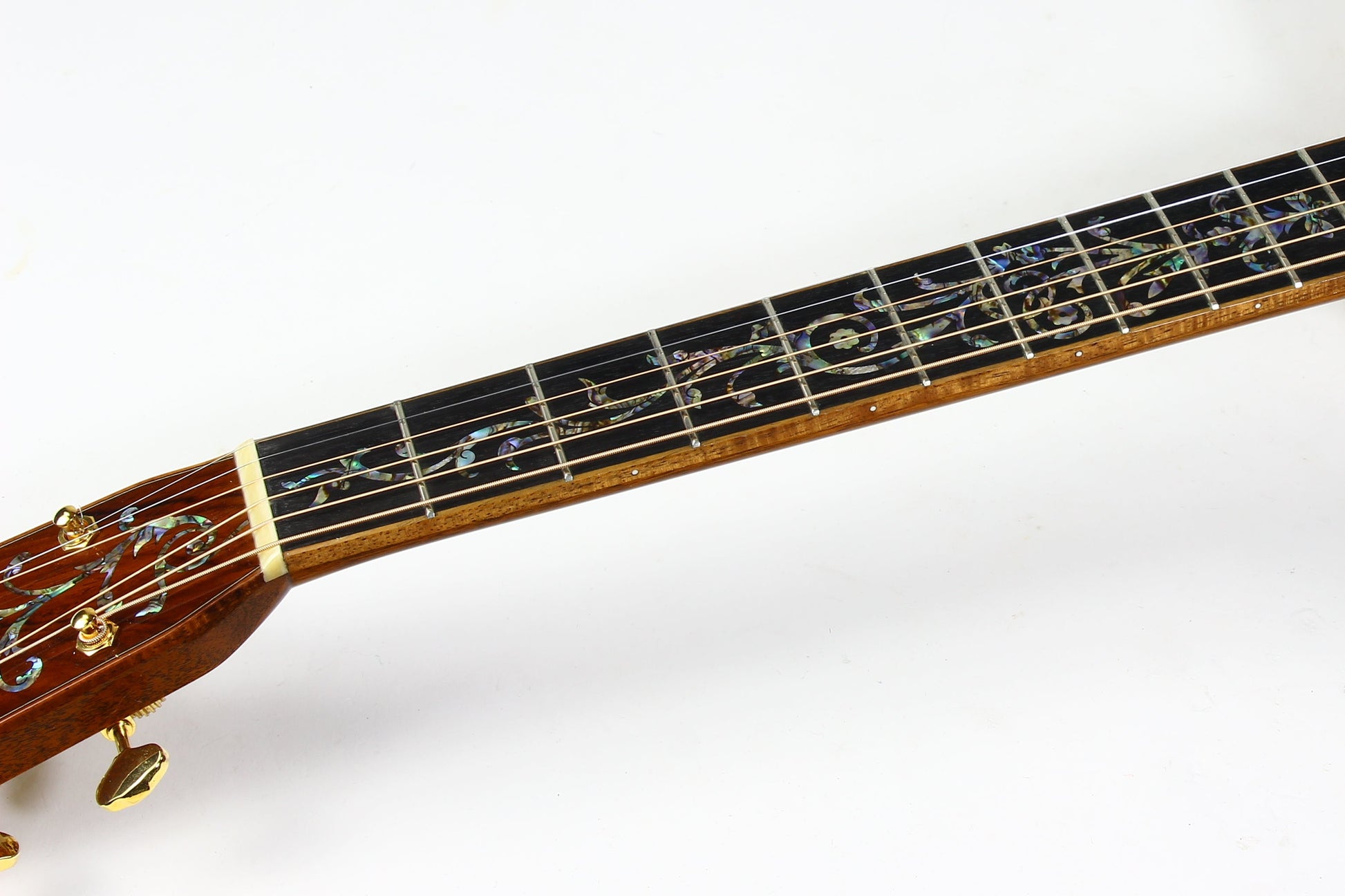 Martin Custom Shop D-45 TREE OF LIFE Cocobolo  Adirondack VTS w Paua Pearl