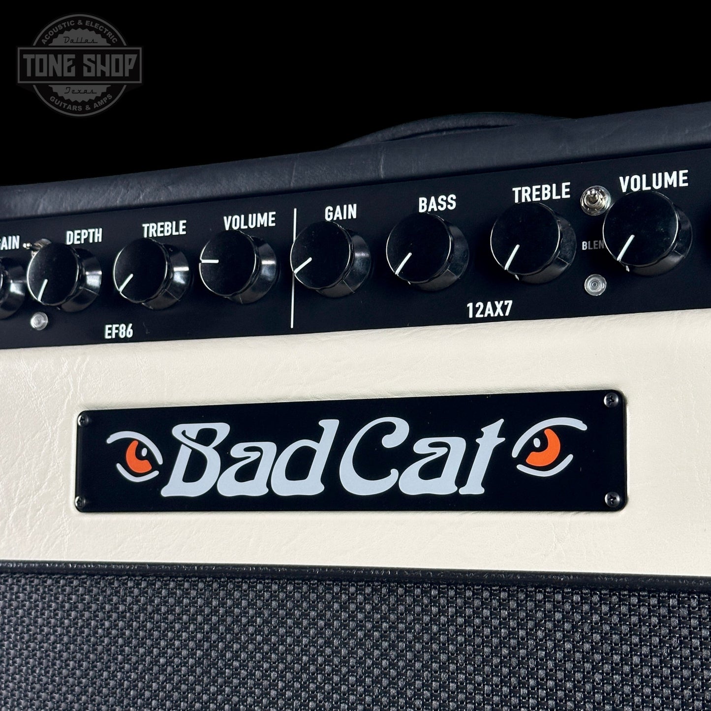 Bad Cat TSG Exclusive Era 30 2x12 Black Heidi 30w Combo