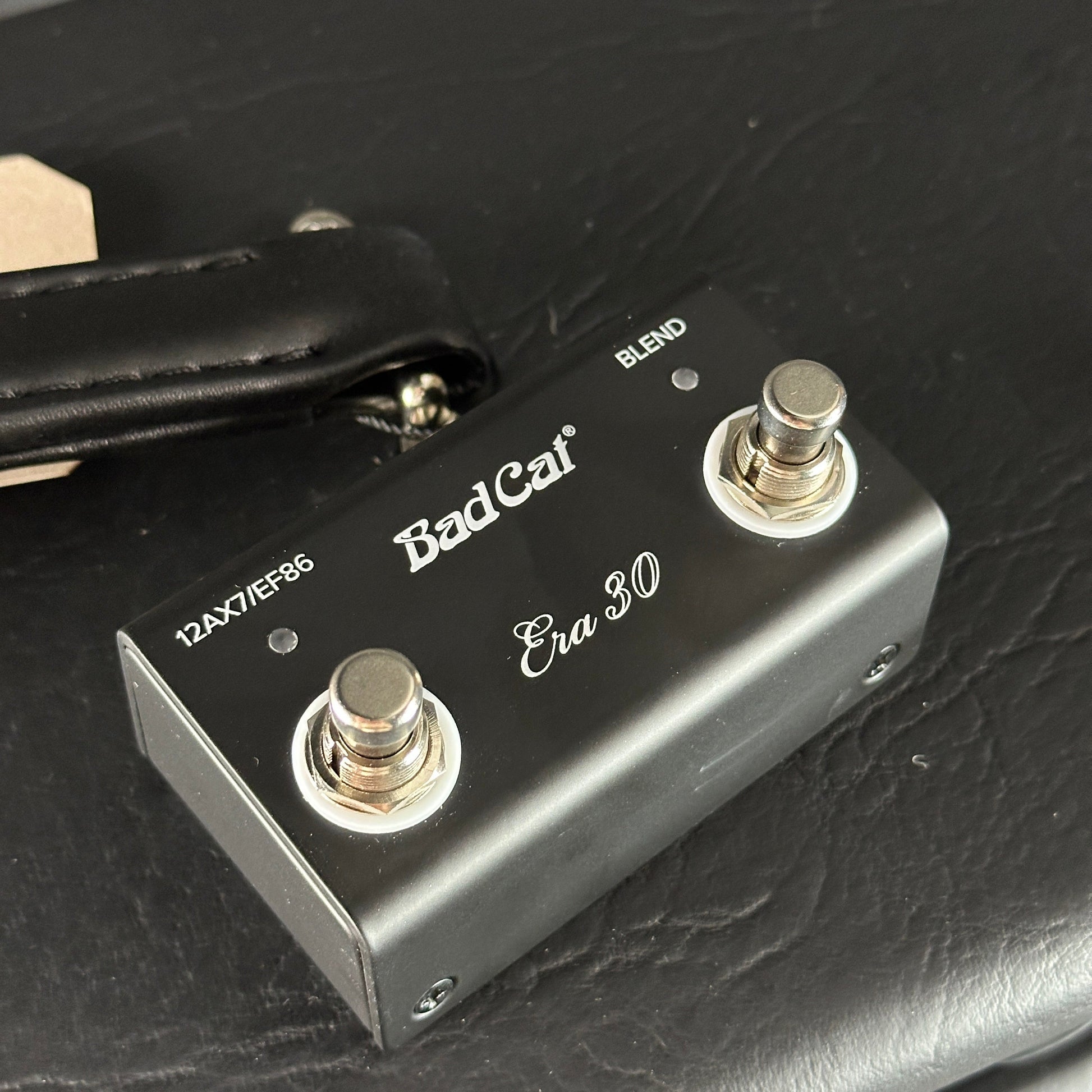 Bad Cat TSG Exclusive Era 30 2x12 Black Heidi 30w Combo