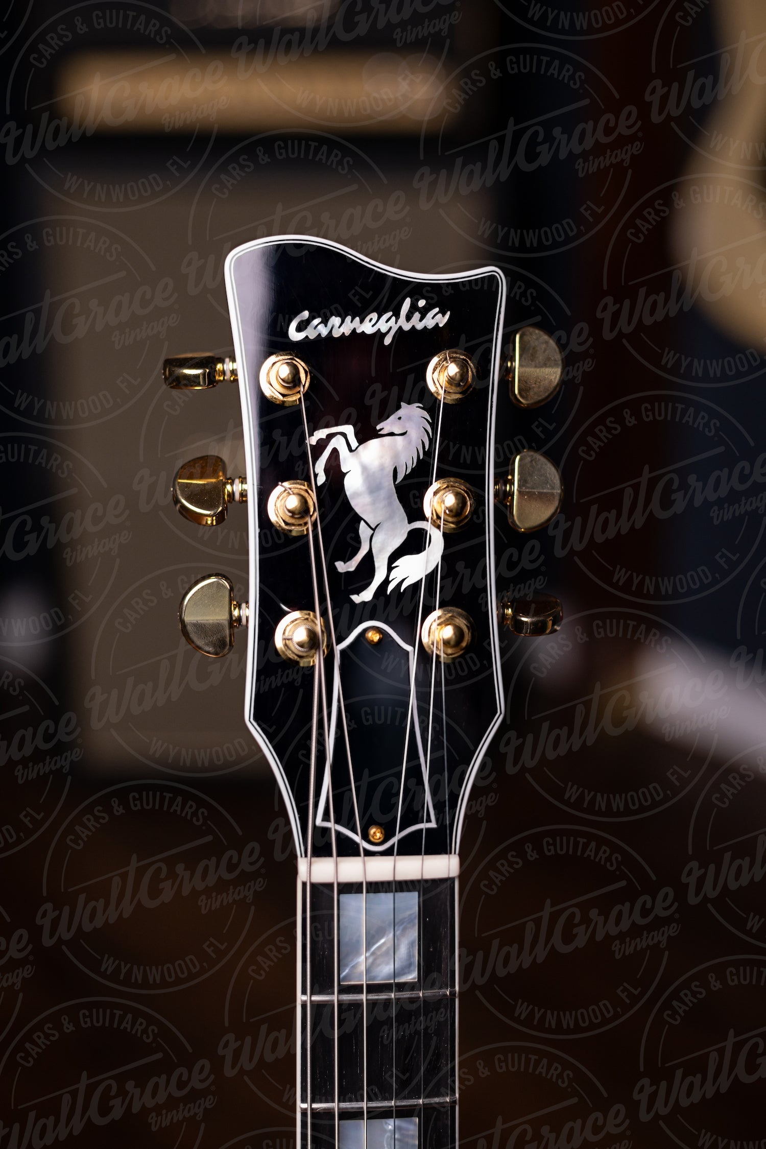 Pre-Order | Carneglia Custom Shop Stallion Custom P-90 Electric Guitar - Ebony