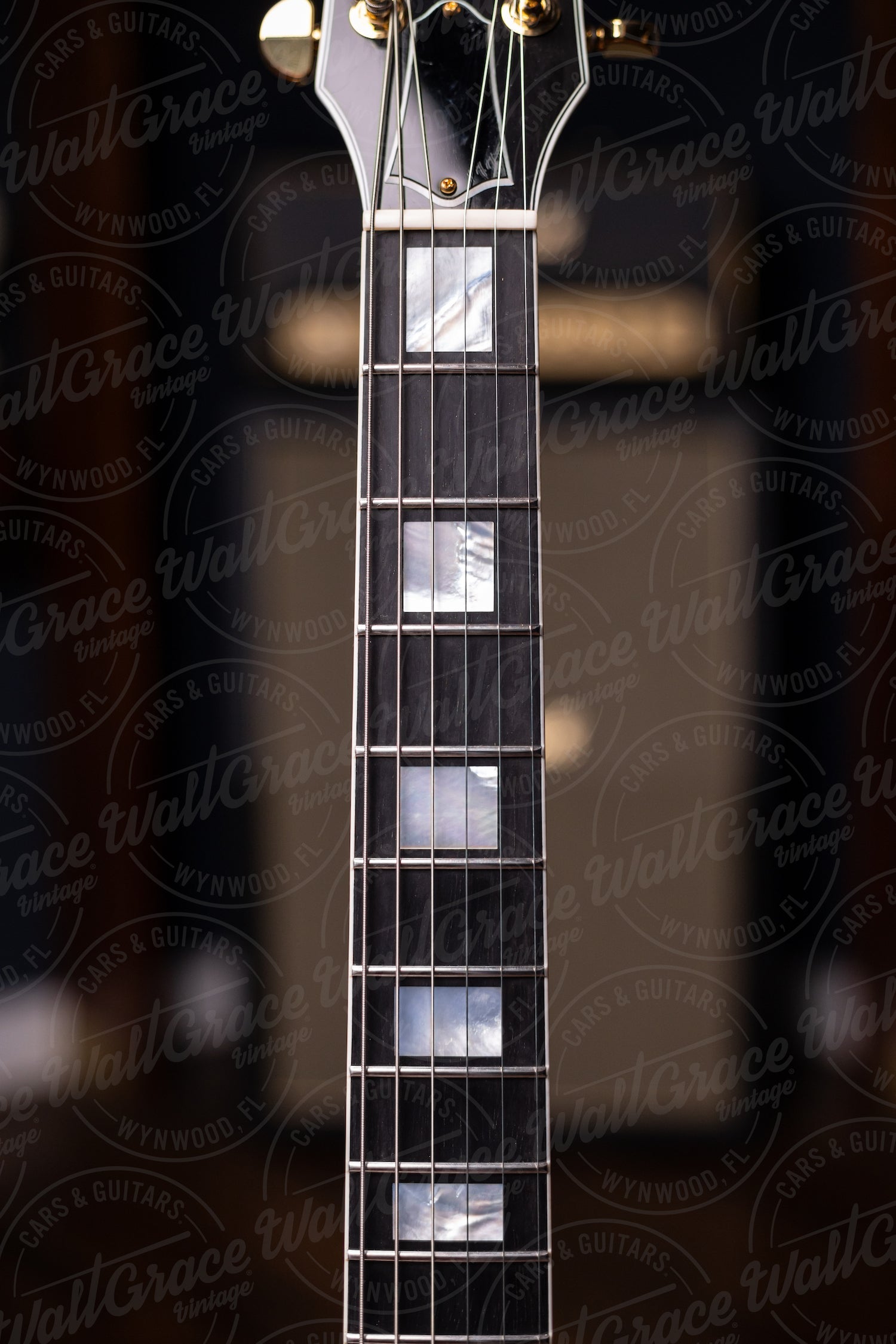 Pre-Order | Carneglia Custom Shop Stallion Custom P-90 Electric Guitar - Ebony