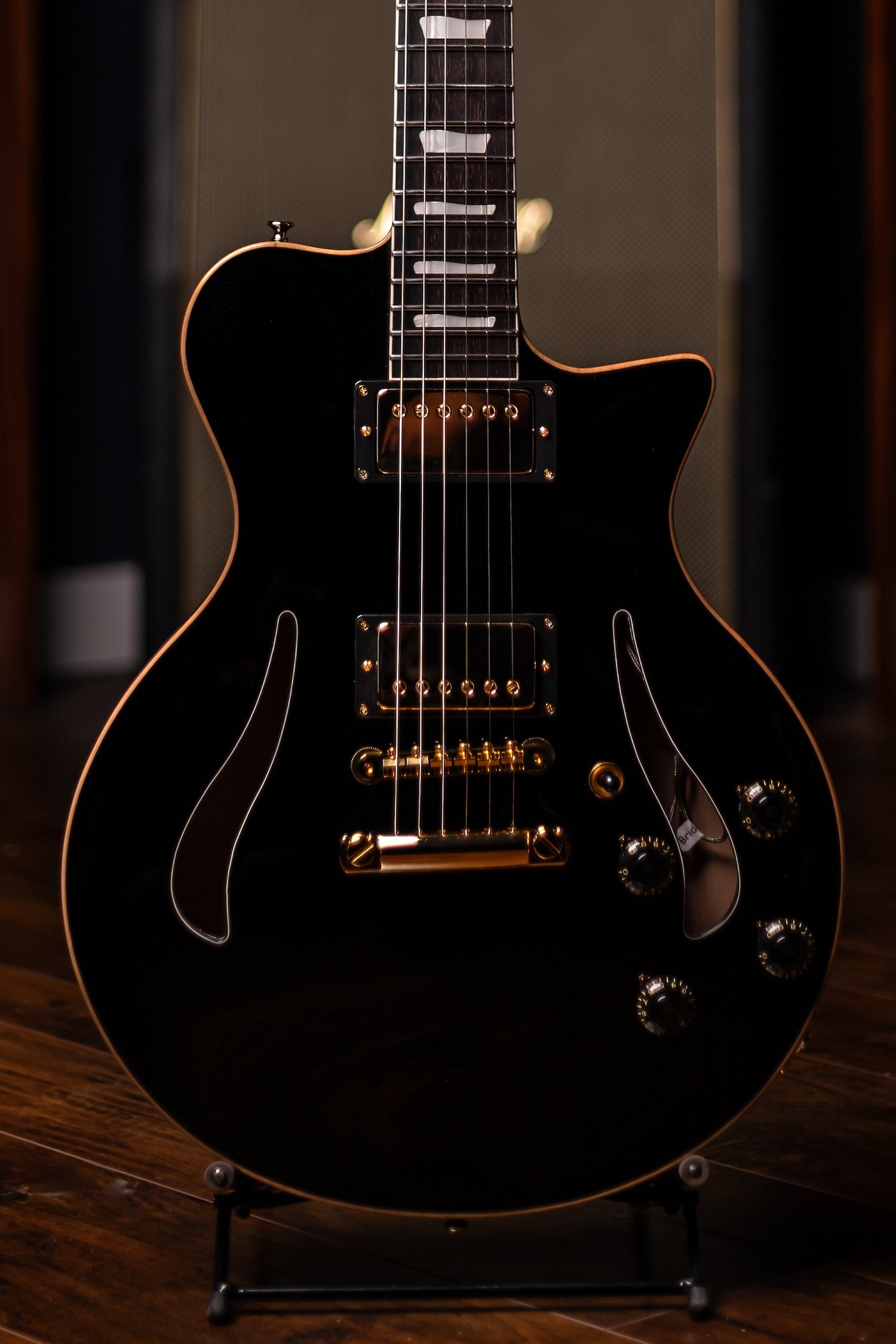Pre-Order | Carneglia Master Series Sonora Custom Semi-Hollow Electric Guitar with Brazilian Rosewood - Ebony