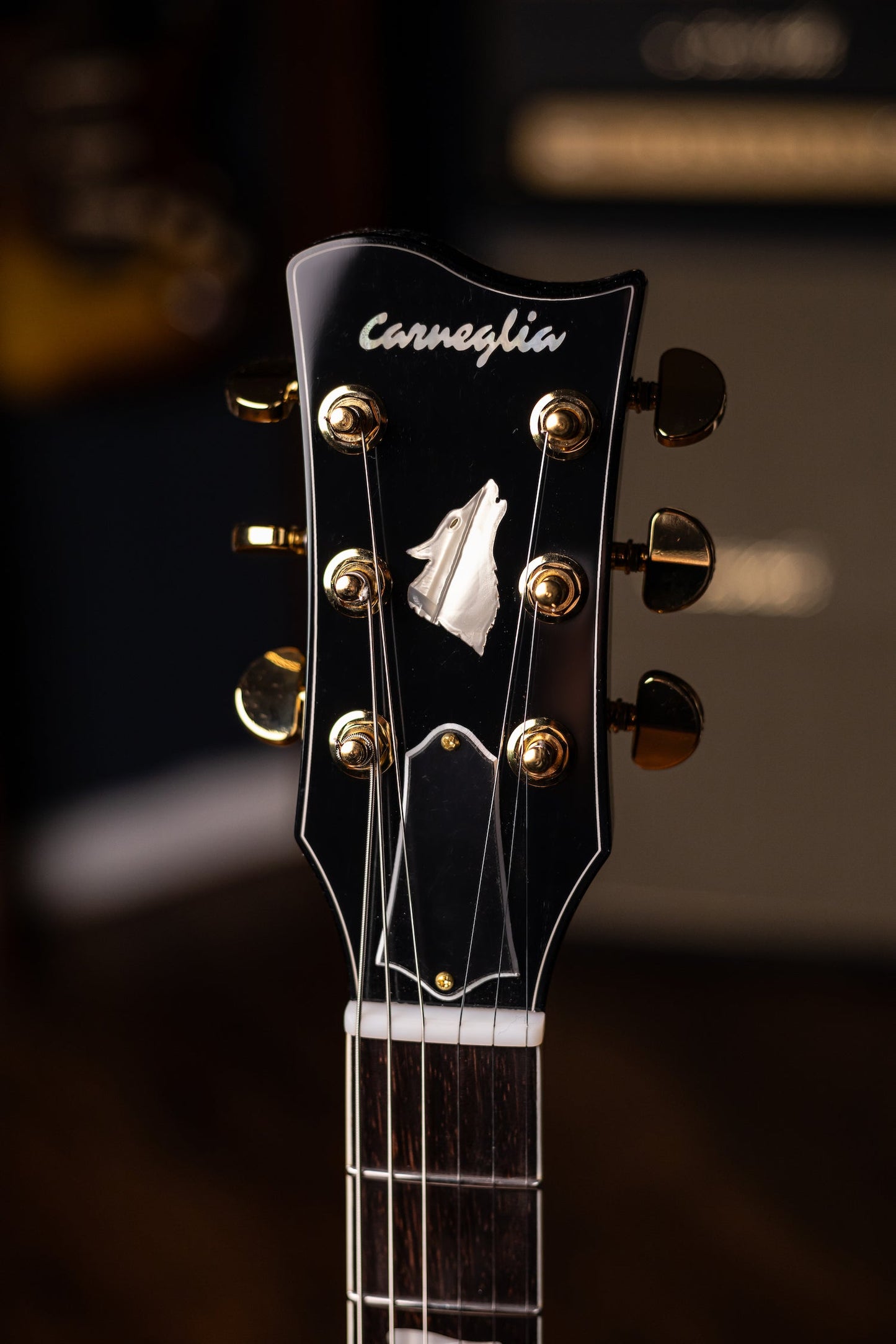 Pre-Order | Carneglia Master Series Sonora Custom Semi-Hollow Electric Guitar with Brazilian Rosewood - Ebony