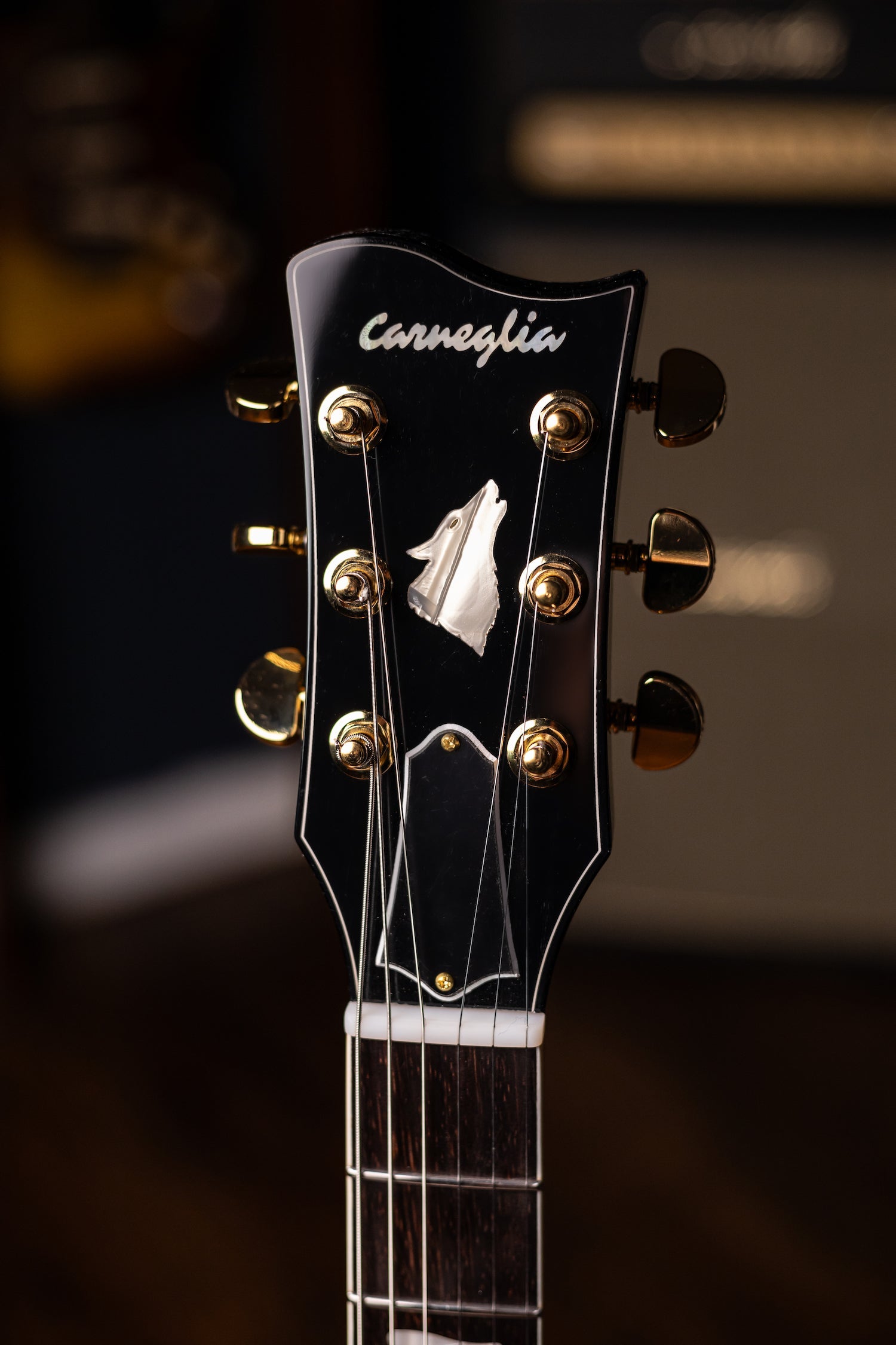 Pre-Order | Carneglia Master Series Sonora Custom Semi-Hollow Electric Guitar with Brazilian Rosewood - Ebony