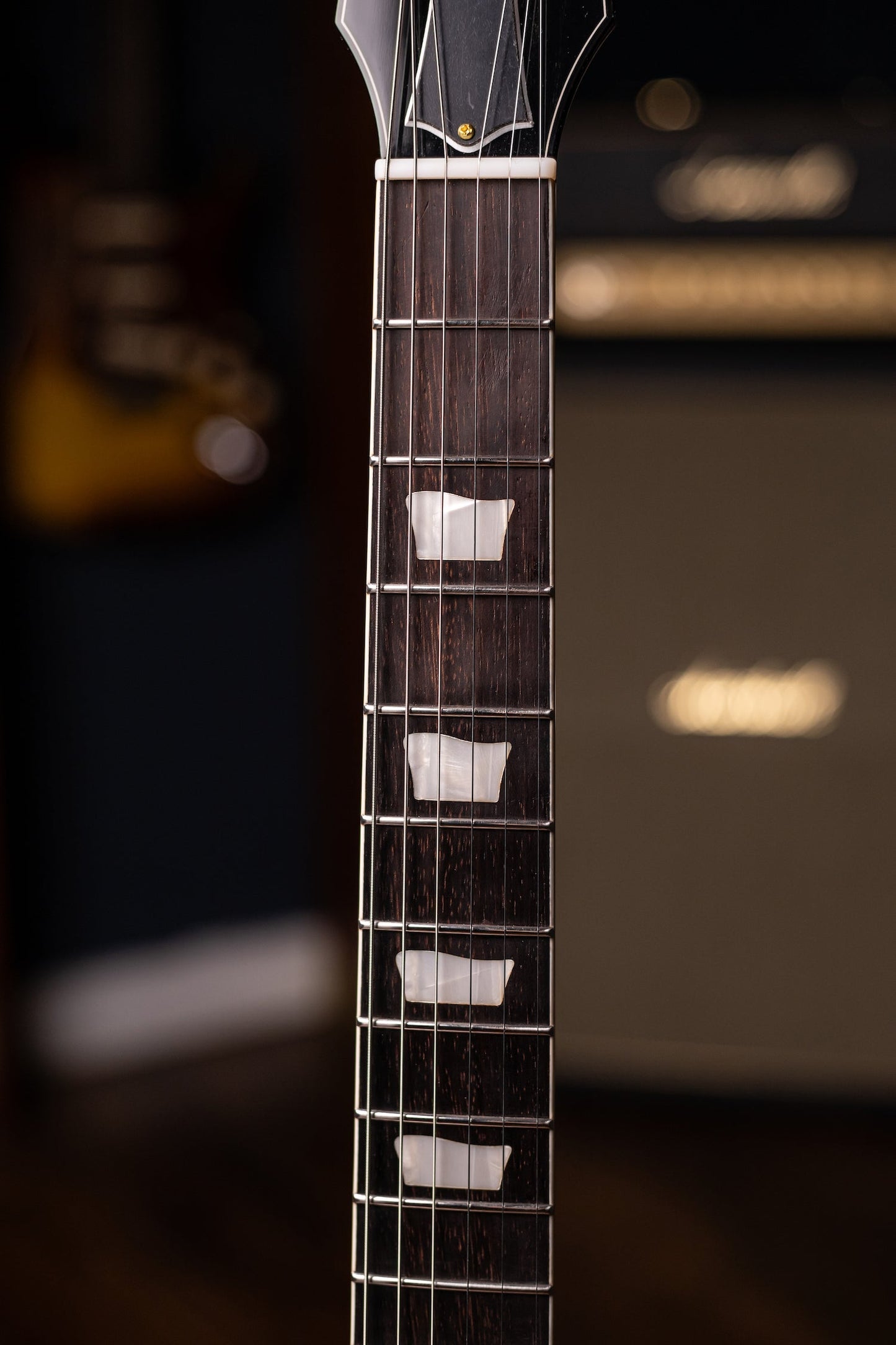 Pre-Order | Carneglia Master Series Sonora Custom Semi-Hollow Electric Guitar with Brazilian Rosewood - Ebony