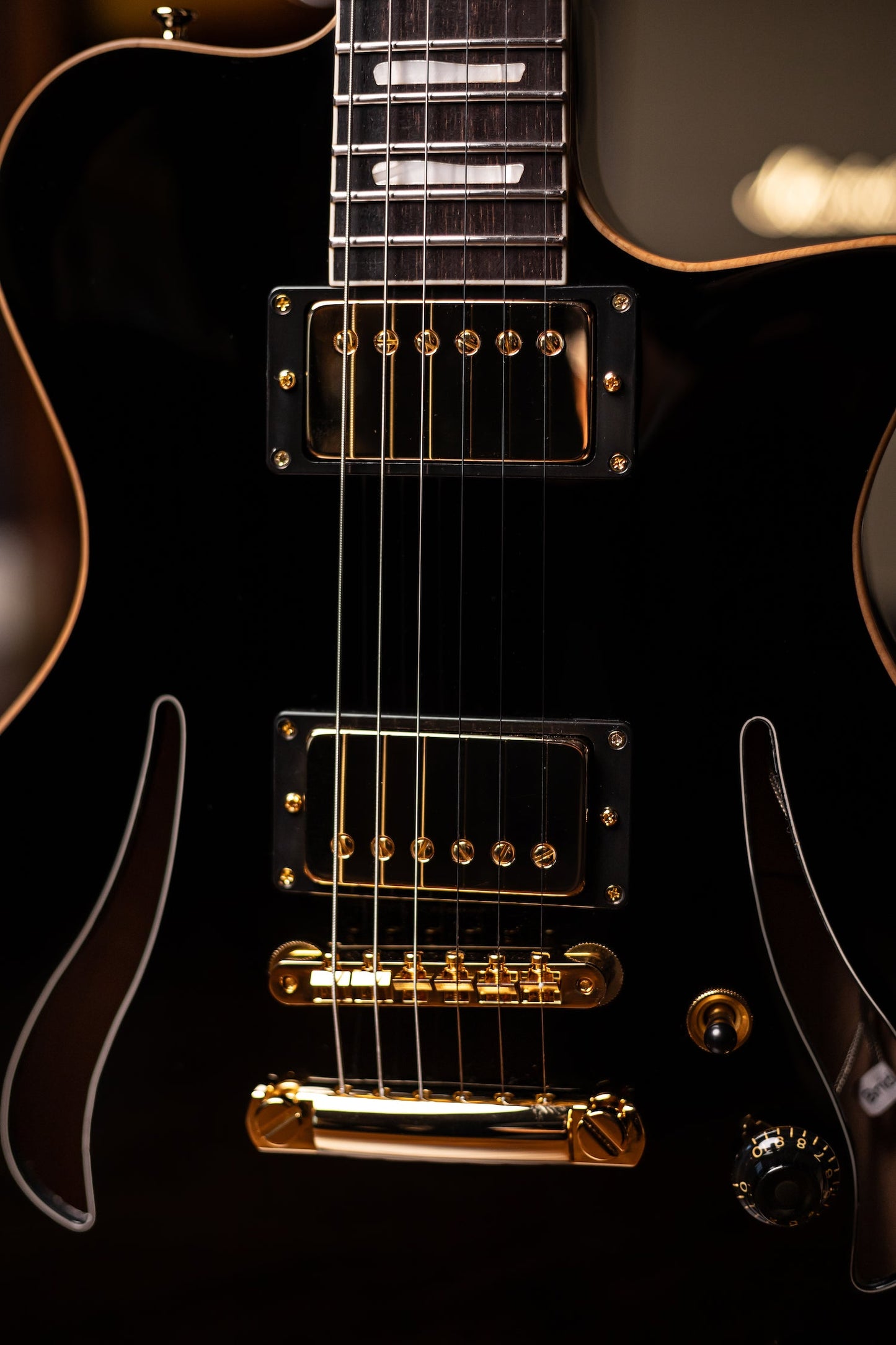 Pre-Order | Carneglia Master Series Sonora Custom Semi-Hollow Electric Guitar with Brazilian Rosewood - Ebony