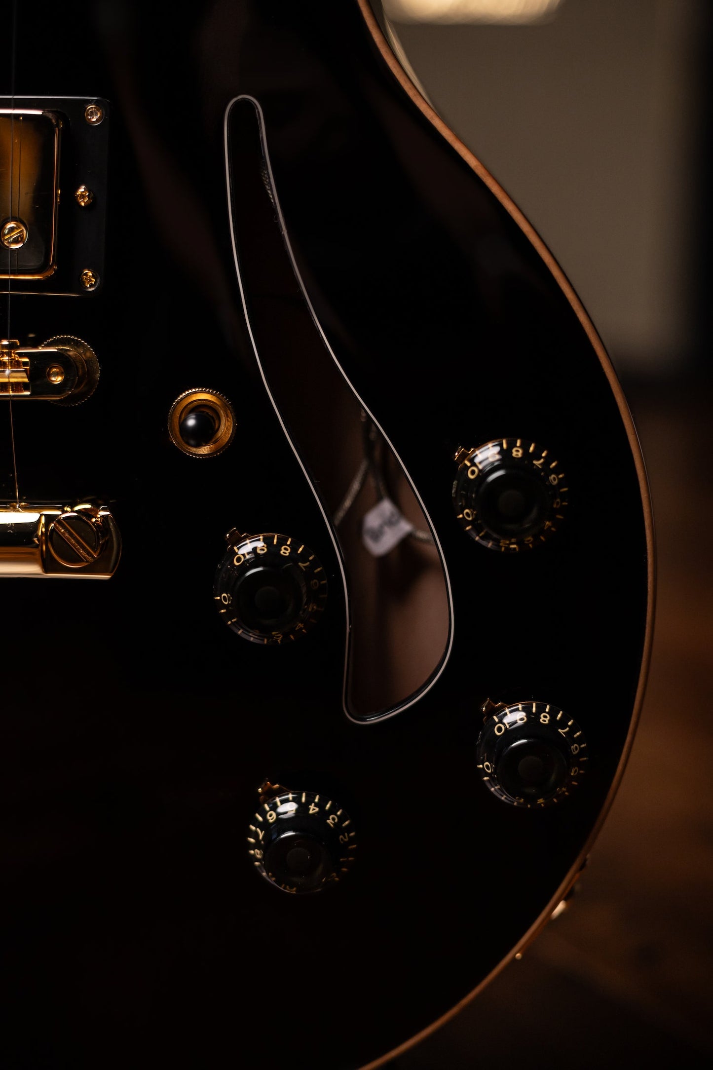Pre-Order | Carneglia Master Series Sonora Custom Semi-Hollow Electric Guitar with Brazilian Rosewood - Ebony