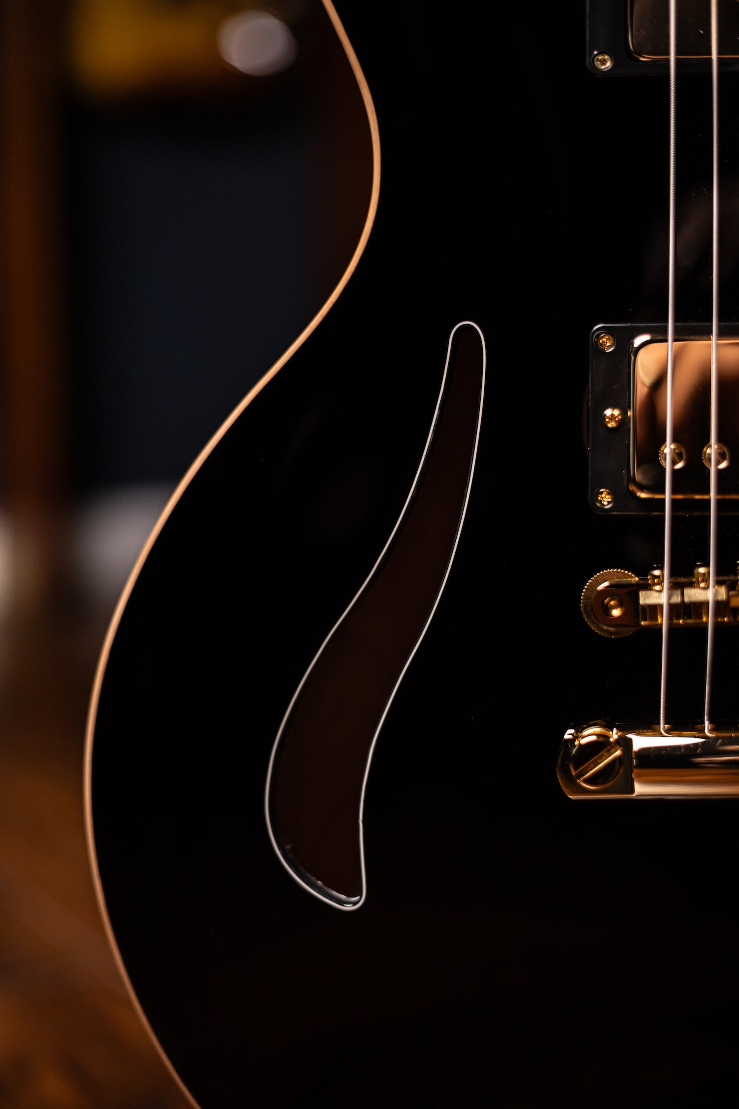 Pre-Order | Carneglia Master Series Sonora Custom Semi-Hollow Electric Guitar with Brazilian Rosewood - Ebony