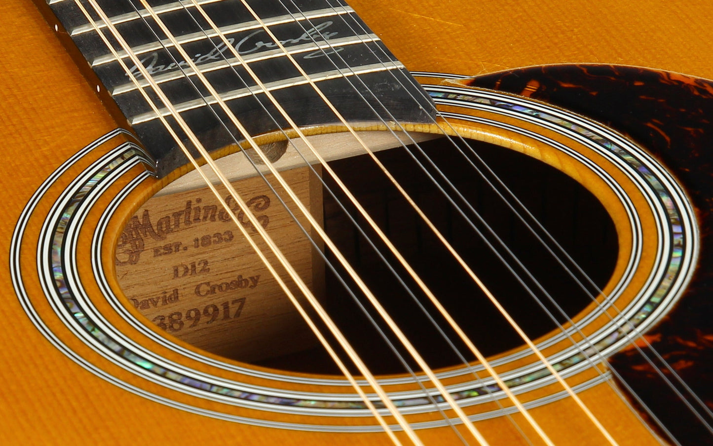 Martin D12 David Crosby Signed Model