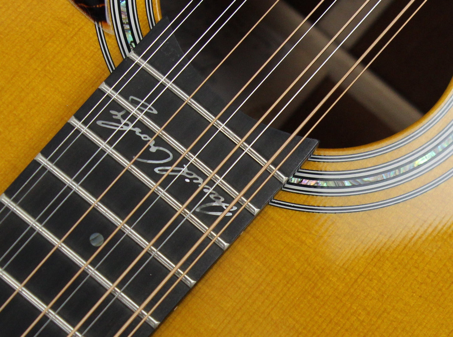 Martin D12 David Crosby Signed Model