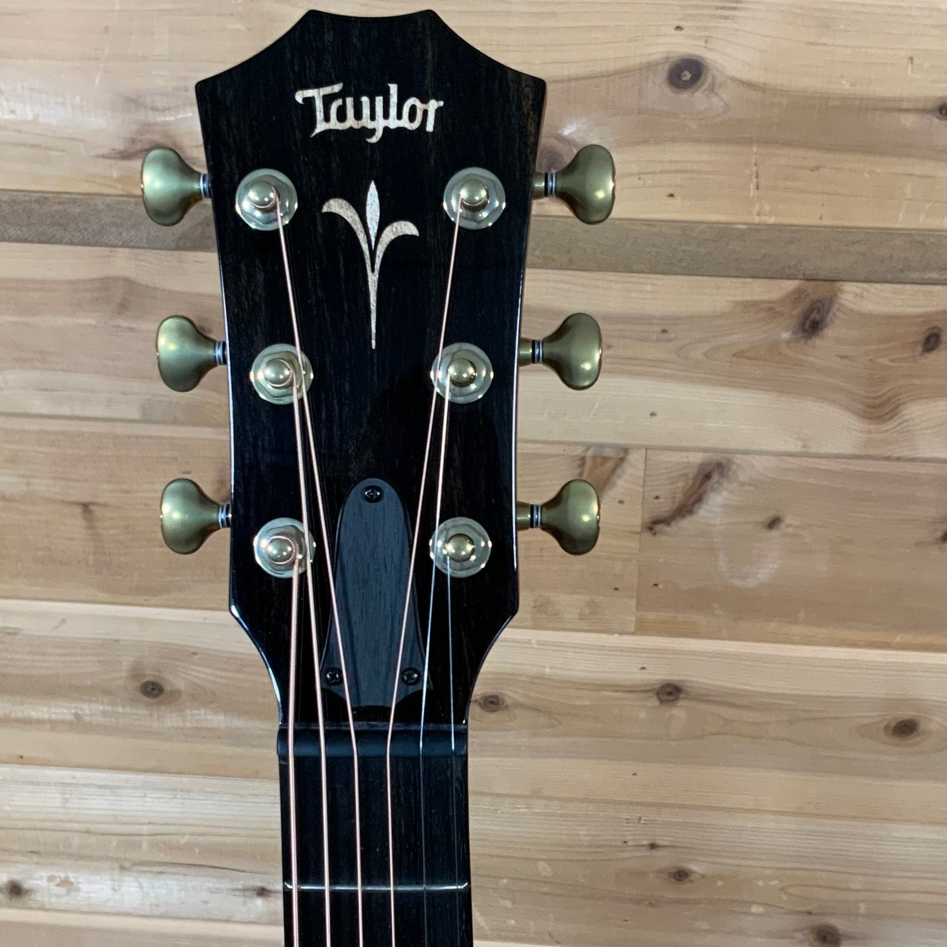 Taylor GT K21e Acoustic Guitar - Hawaiian Koa