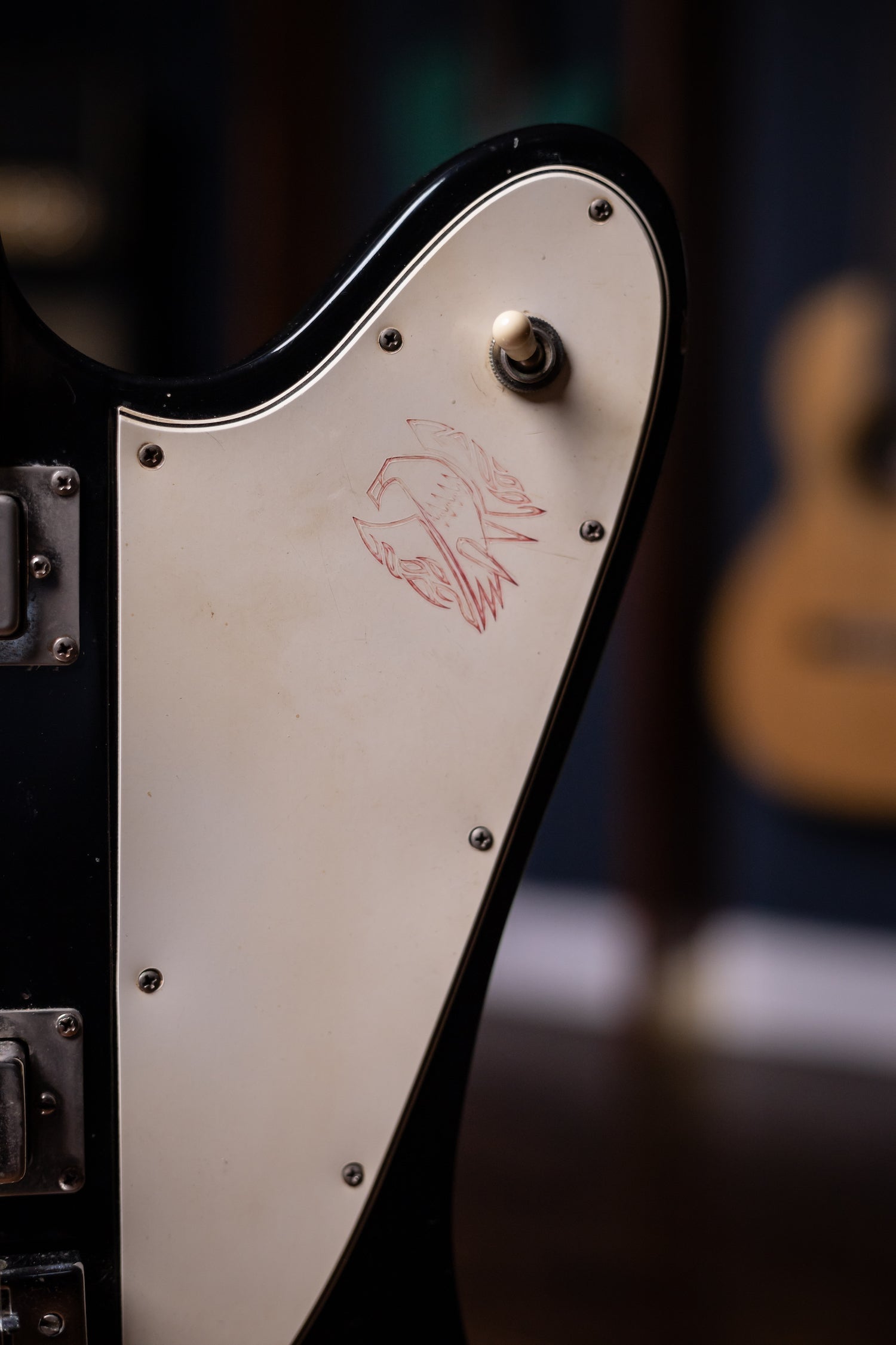 1973 Gibson Firebird Electric Guitar / Duane Roland / Molly Hatchet - Ebony