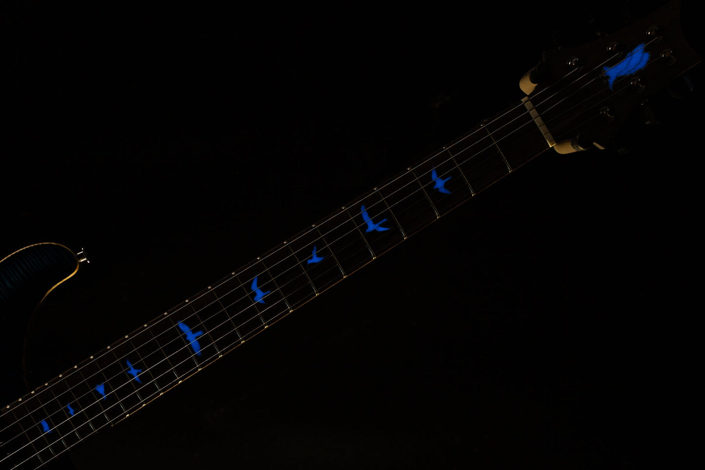 PRS Private Stock 11017 Modern Eagle V Whale Blue Glow (682)