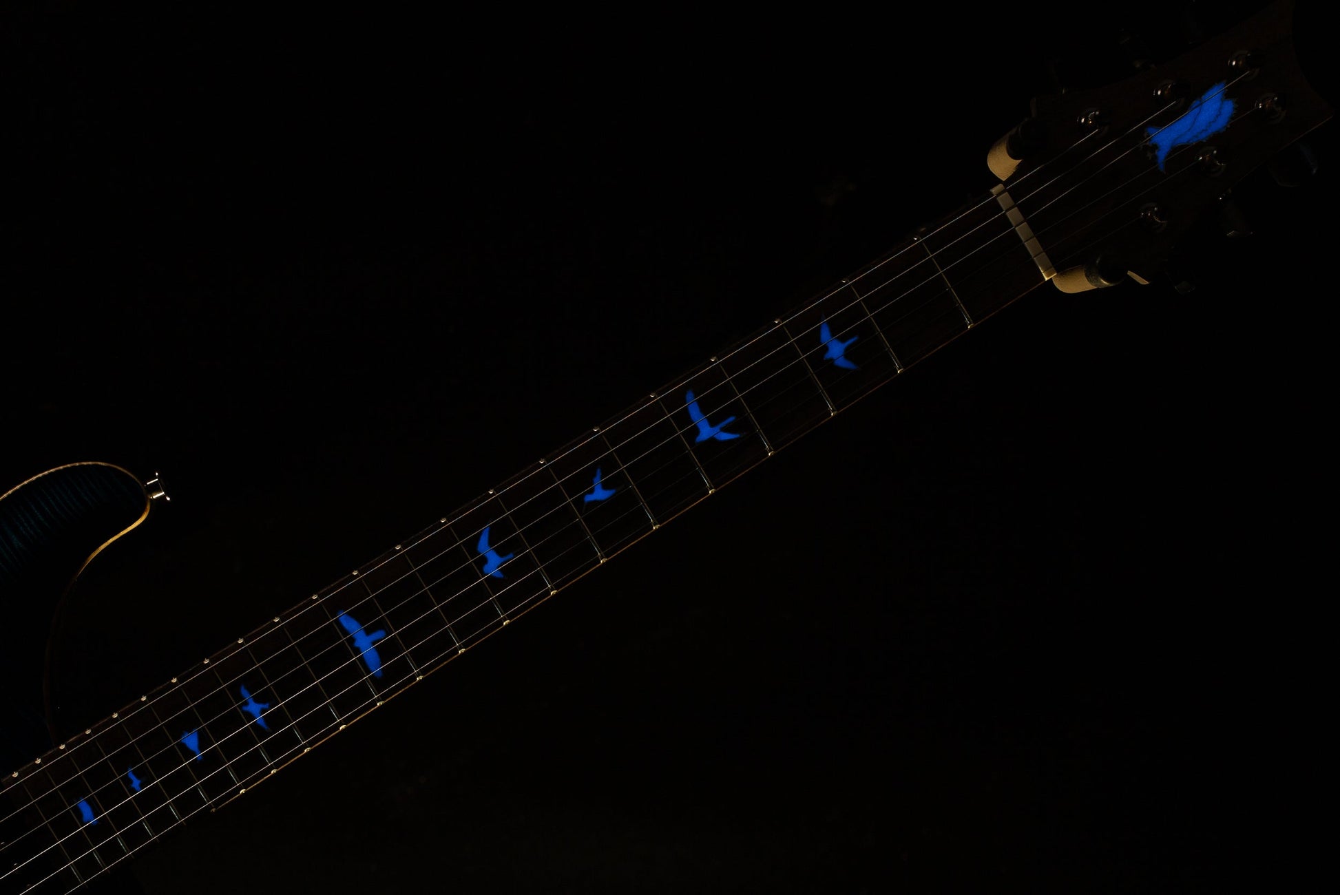 PRS Private Stock 11017 Modern Eagle V Whale Blue Glow (682)
