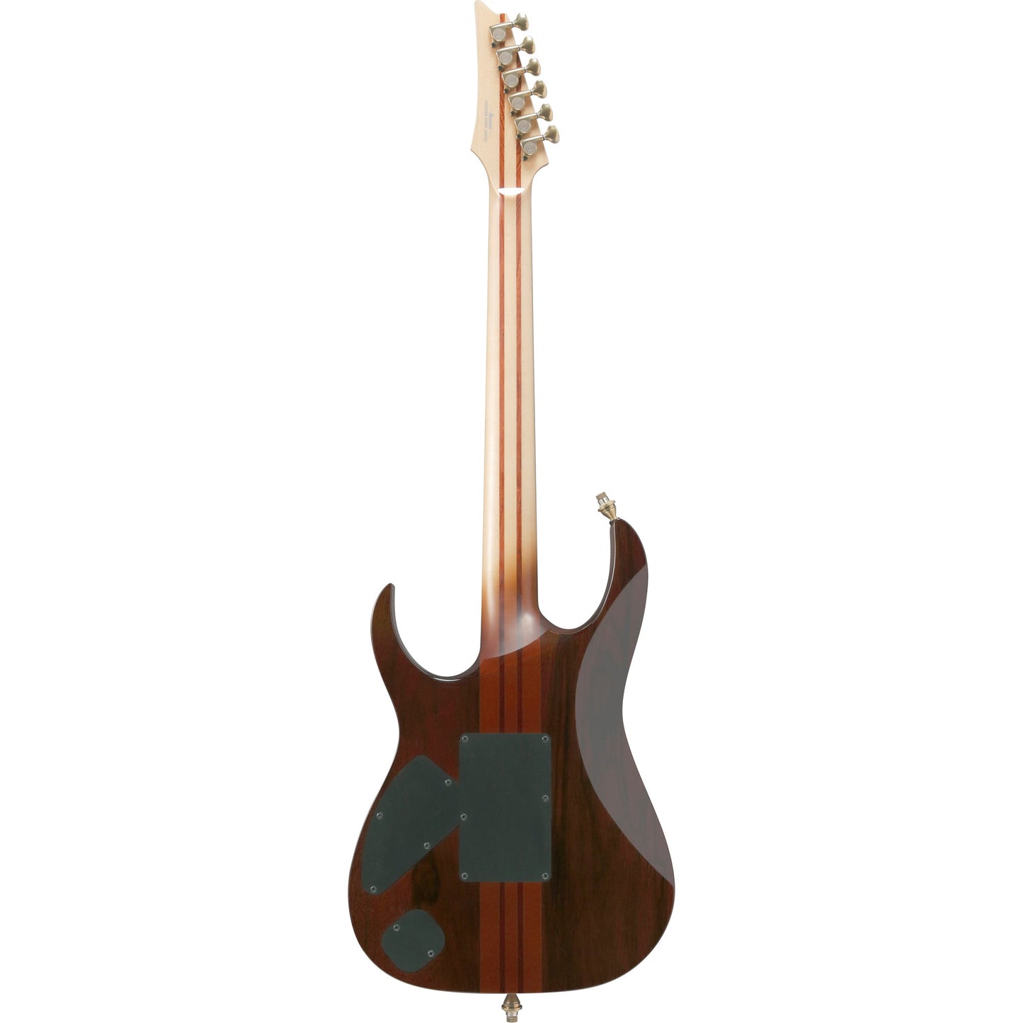 Ibanez IV1RG RG Visions 6-String Electric Guitar