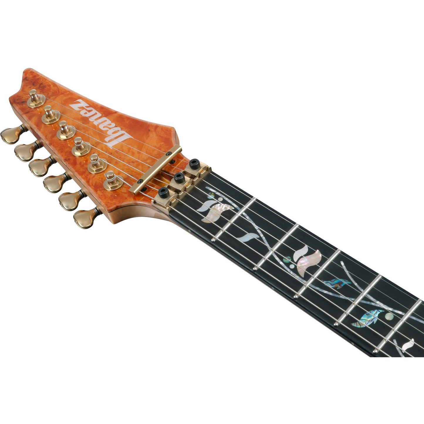 Ibanez IV1RG RG Visions 6-String Electric Guitar