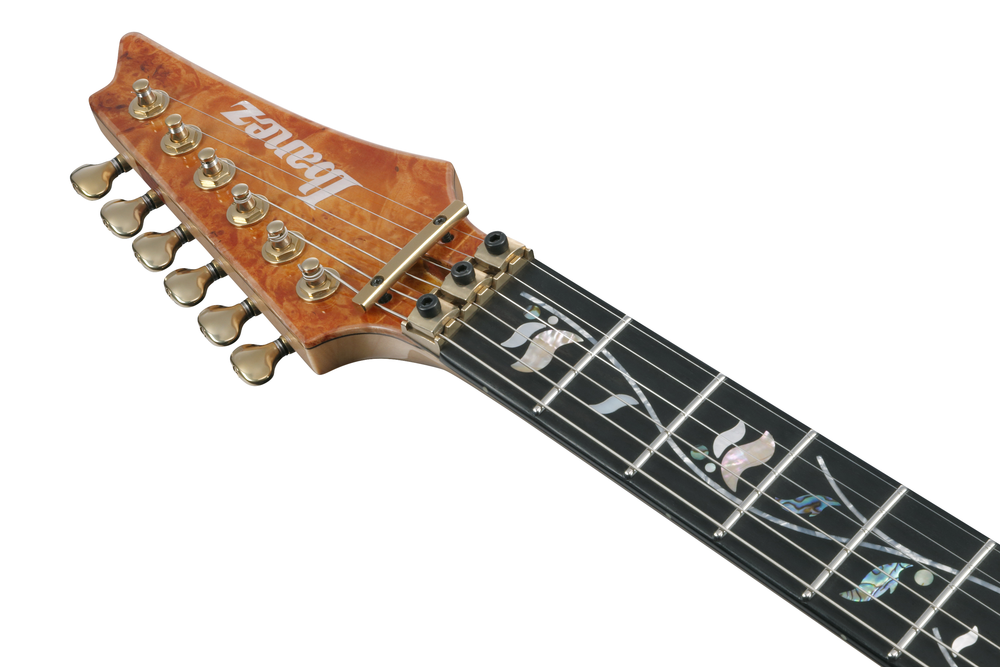 Ibanez IV1RG Visions