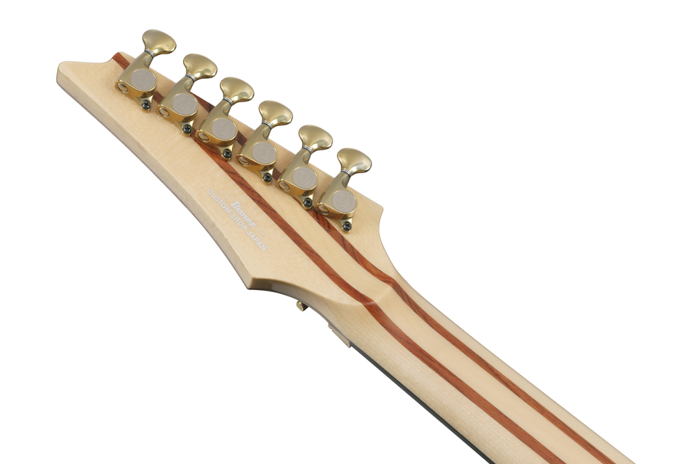 Ibanez IV1RG Visions