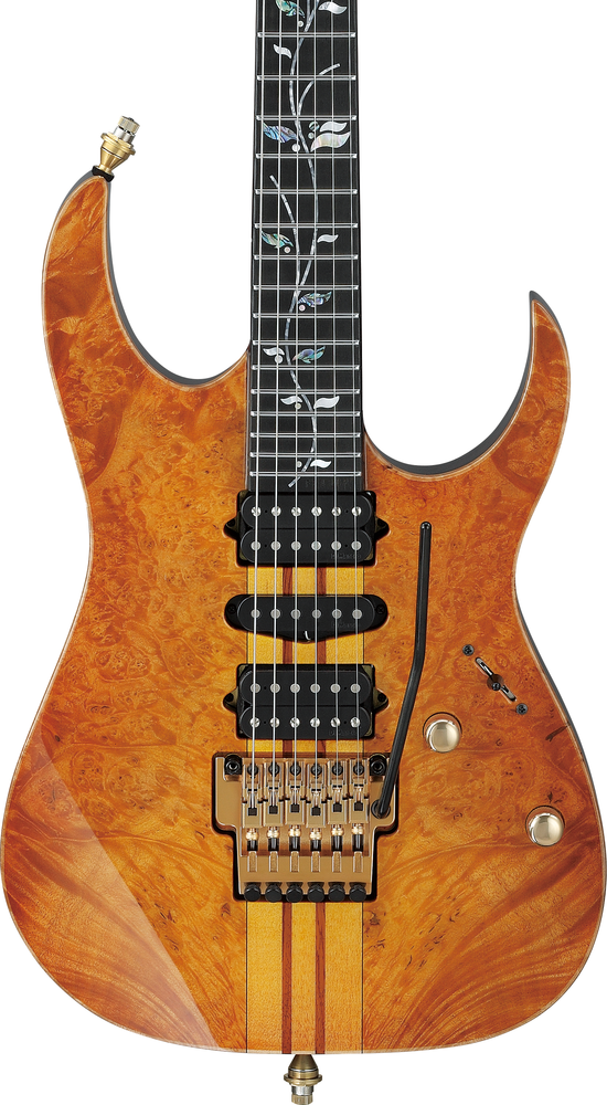 Ibanez IV1RG Visions