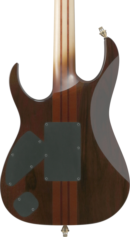 Ibanez IV1RG Visions