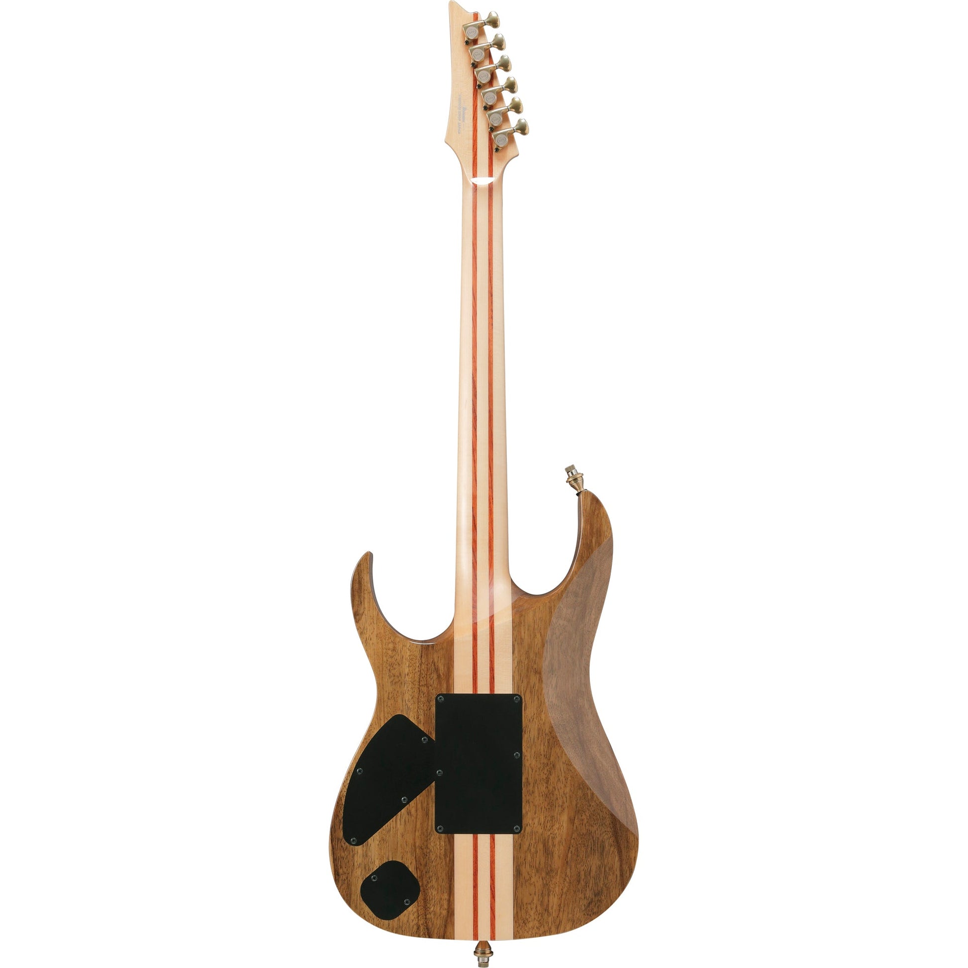 Ibanez IV2RG RG Visions 6-String Electric Guitar