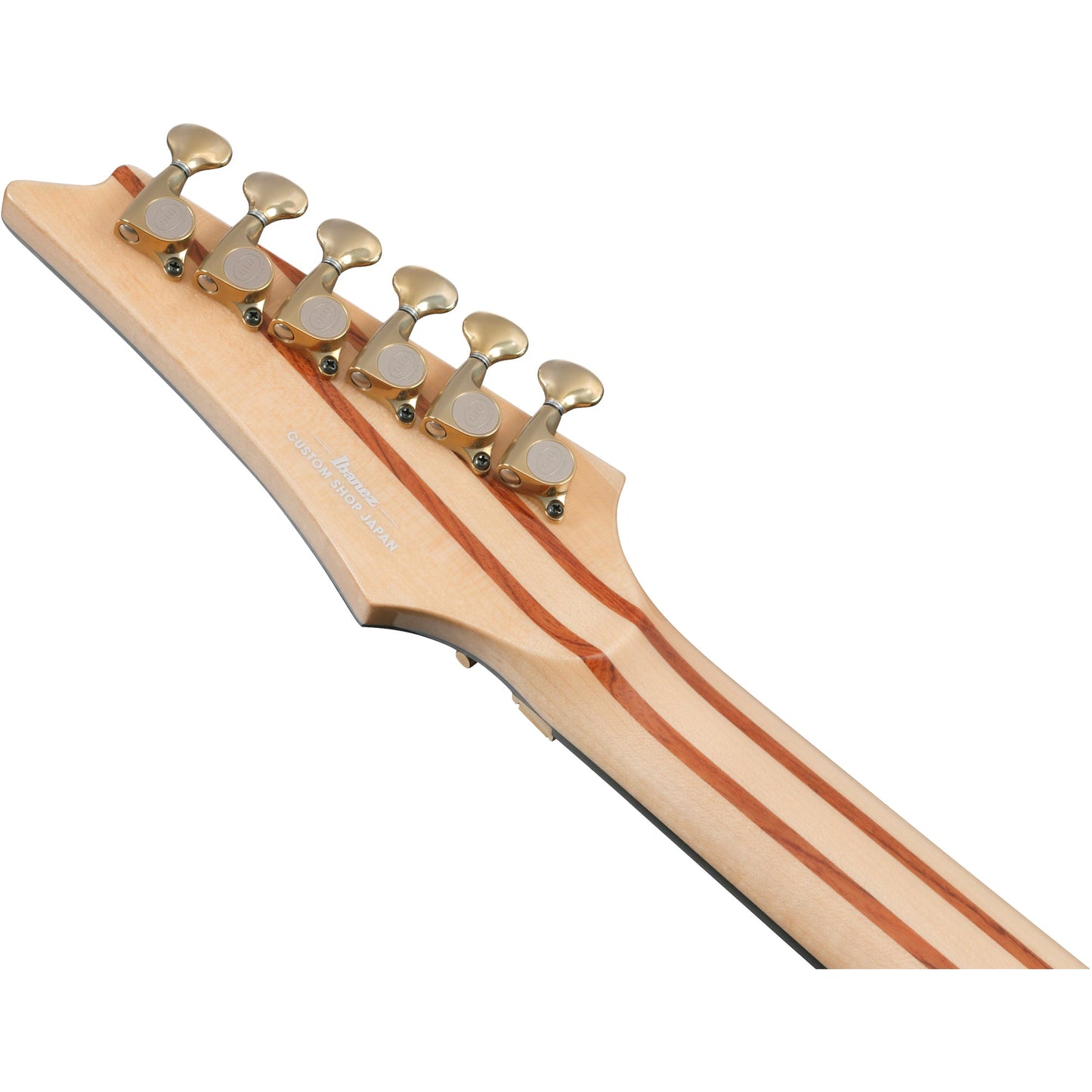 Ibanez IV2RG RG Visions 6-String Electric Guitar